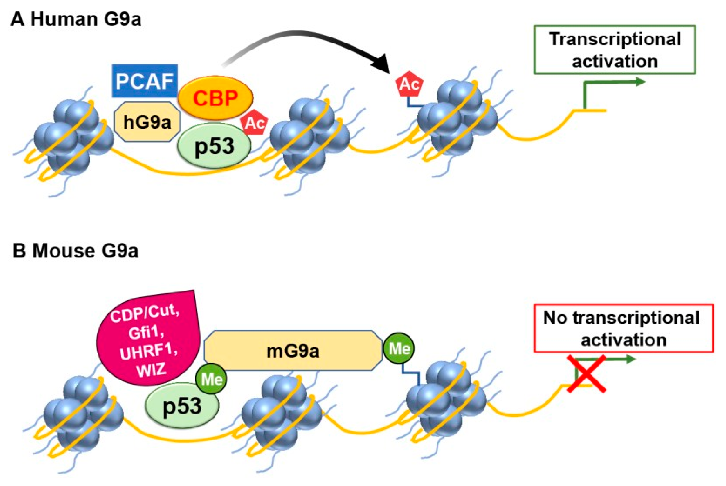 Preprints 74960 g003