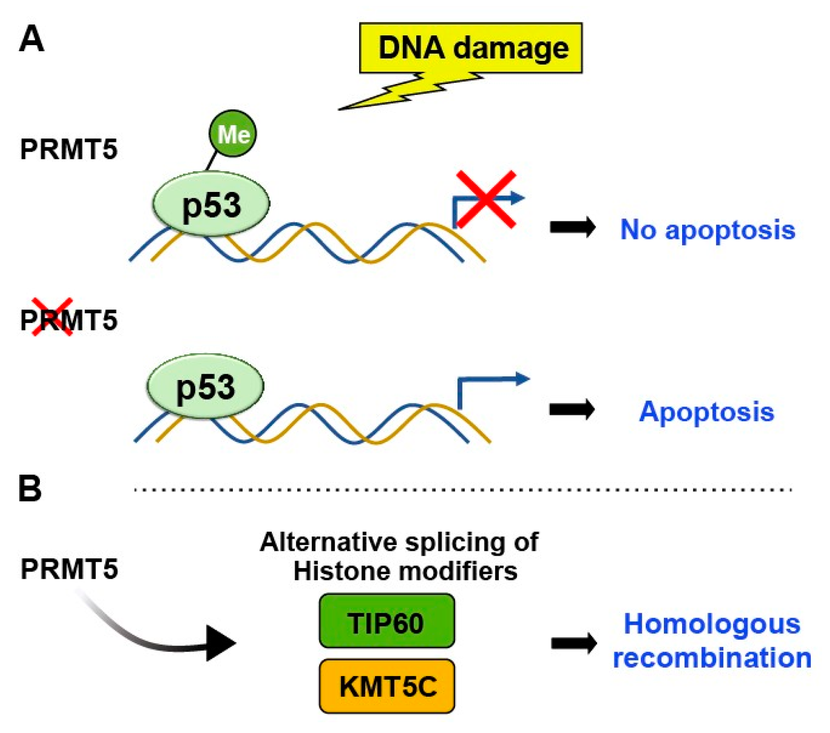 Preprints 74960 g004