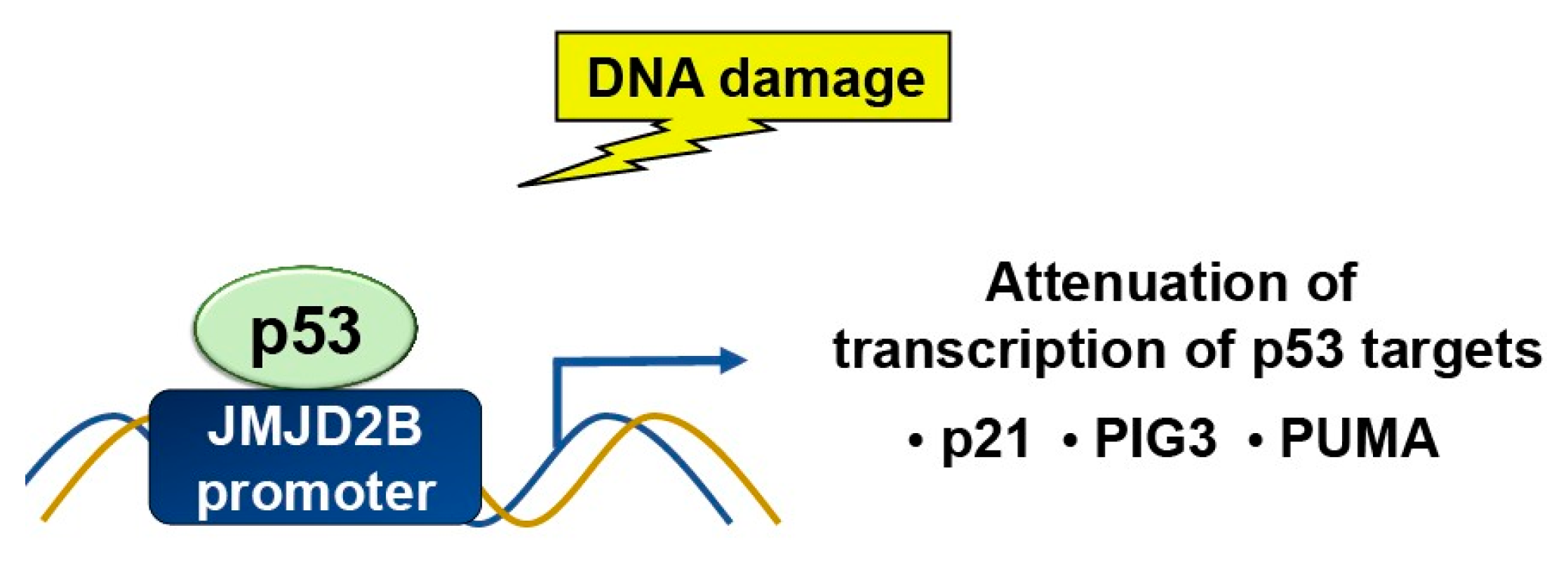 Preprints 74960 g005