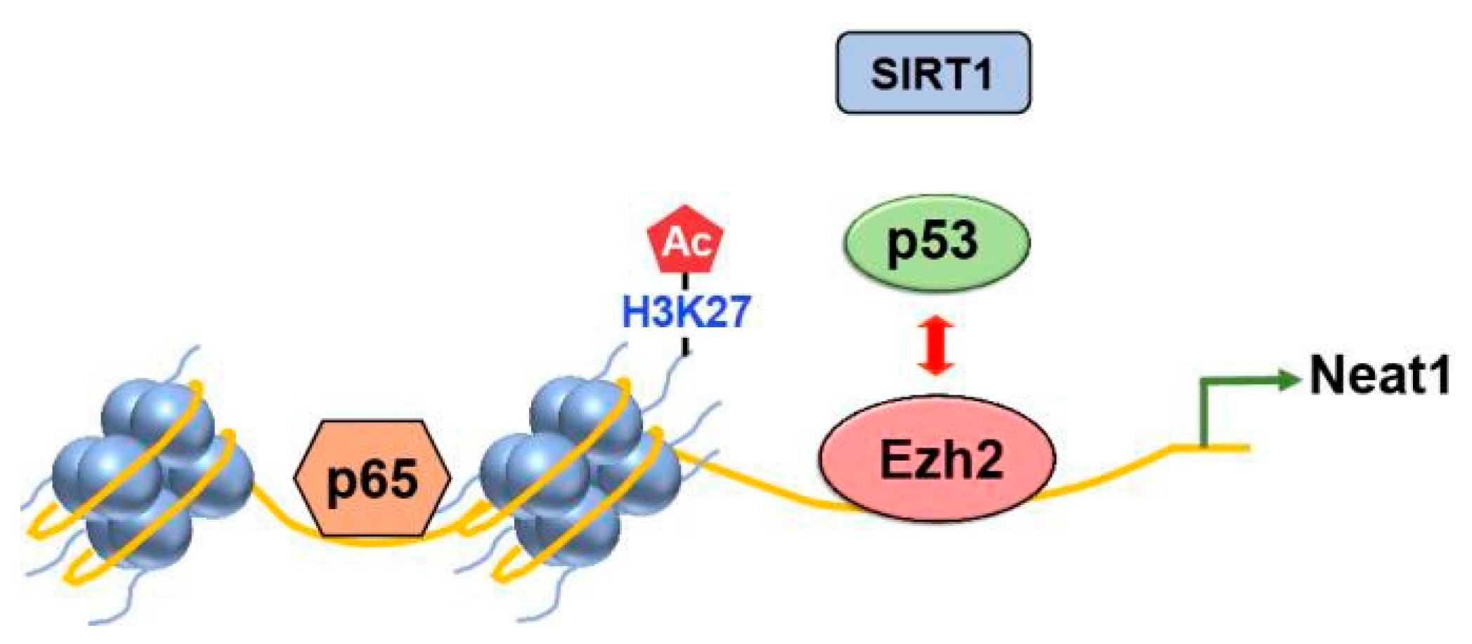 Preprints 74960 g006