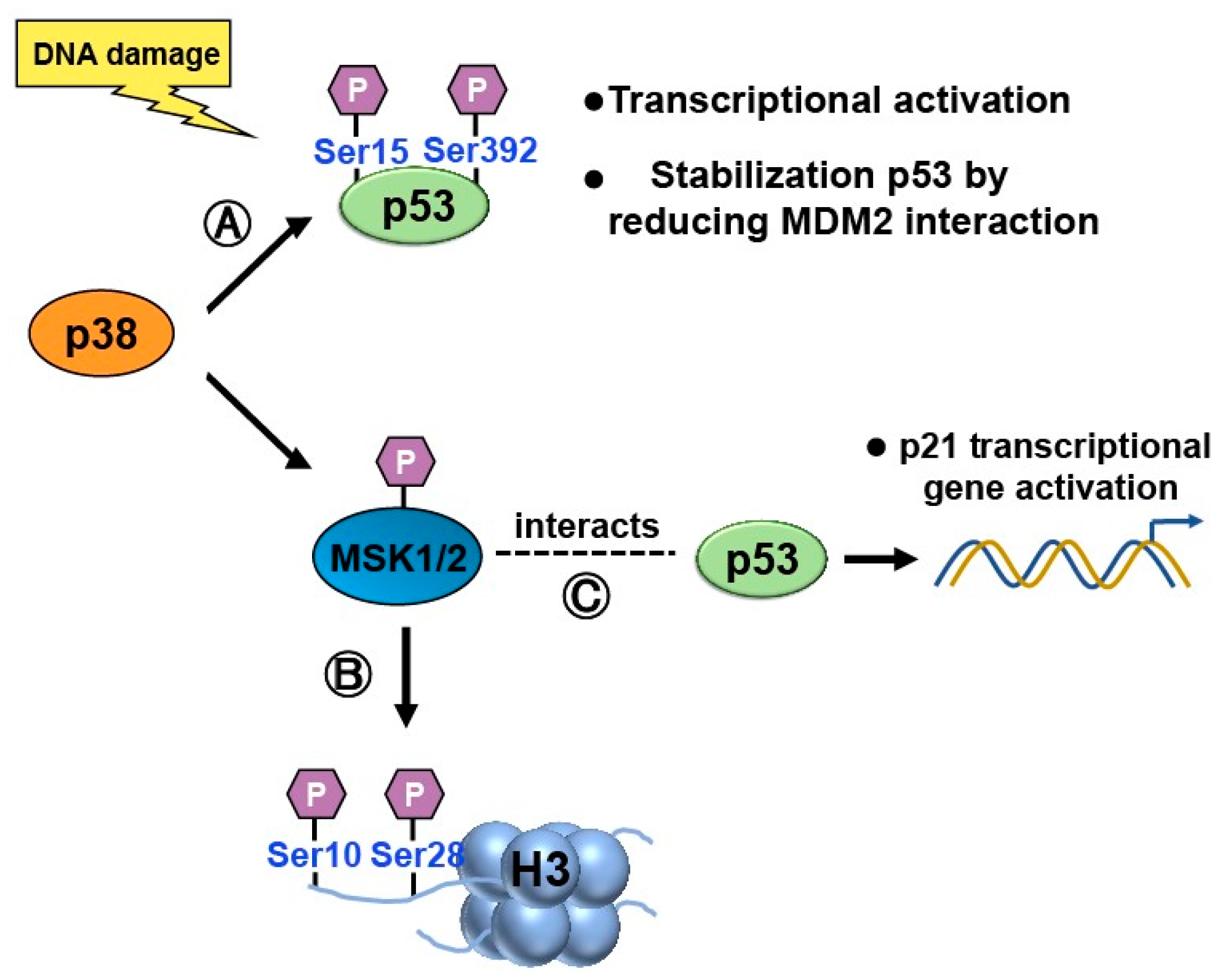 Preprints 74960 g008