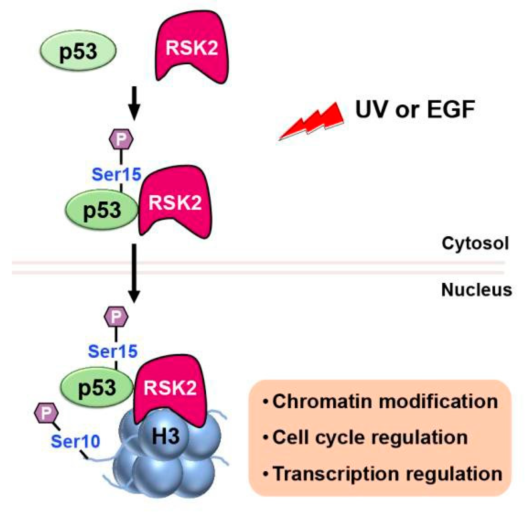 Preprints 74960 g009