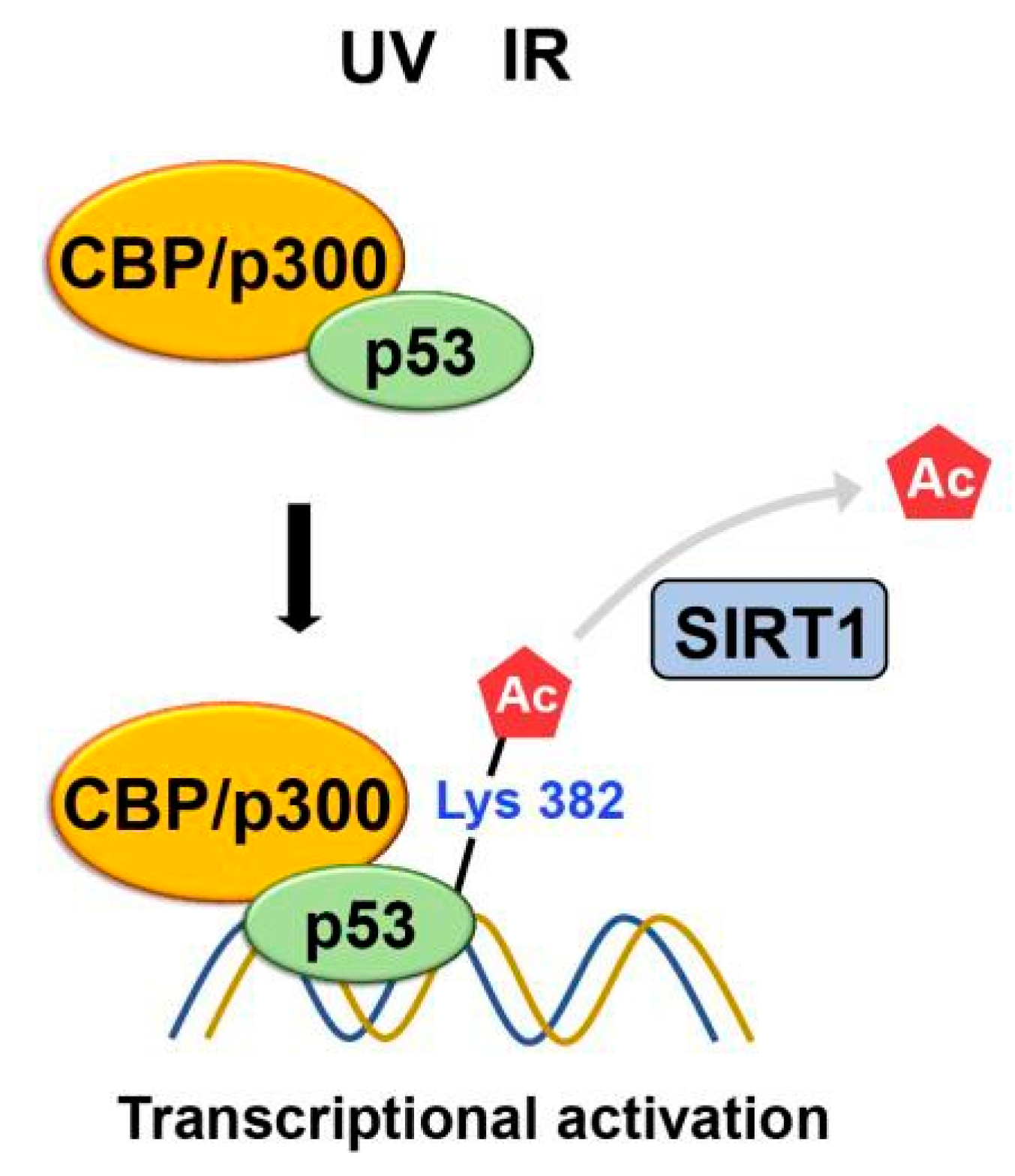 Preprints 74960 g010