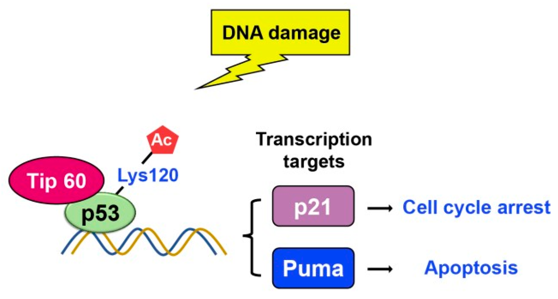 Preprints 74960 g011