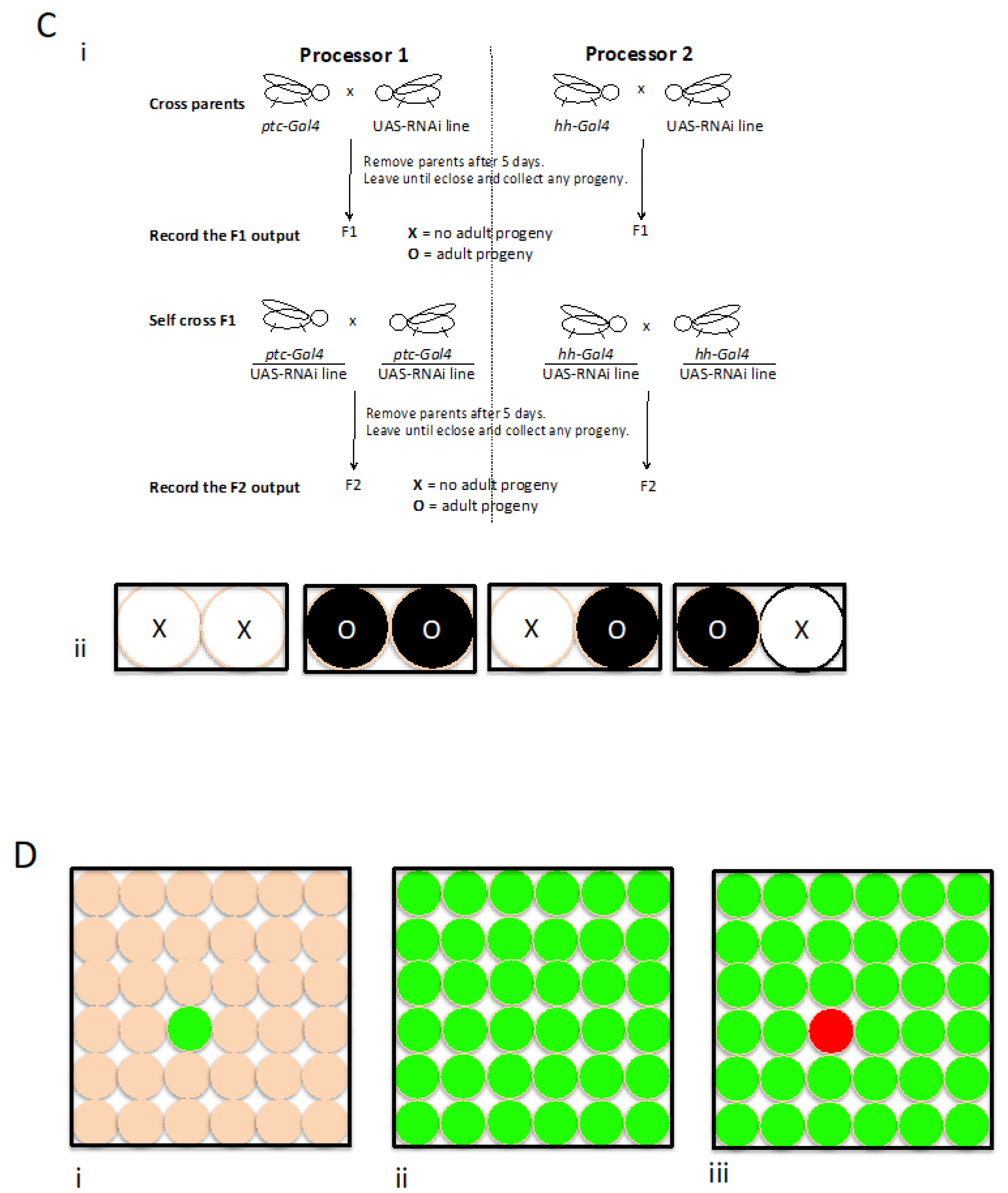 Preprints 107138 g001b