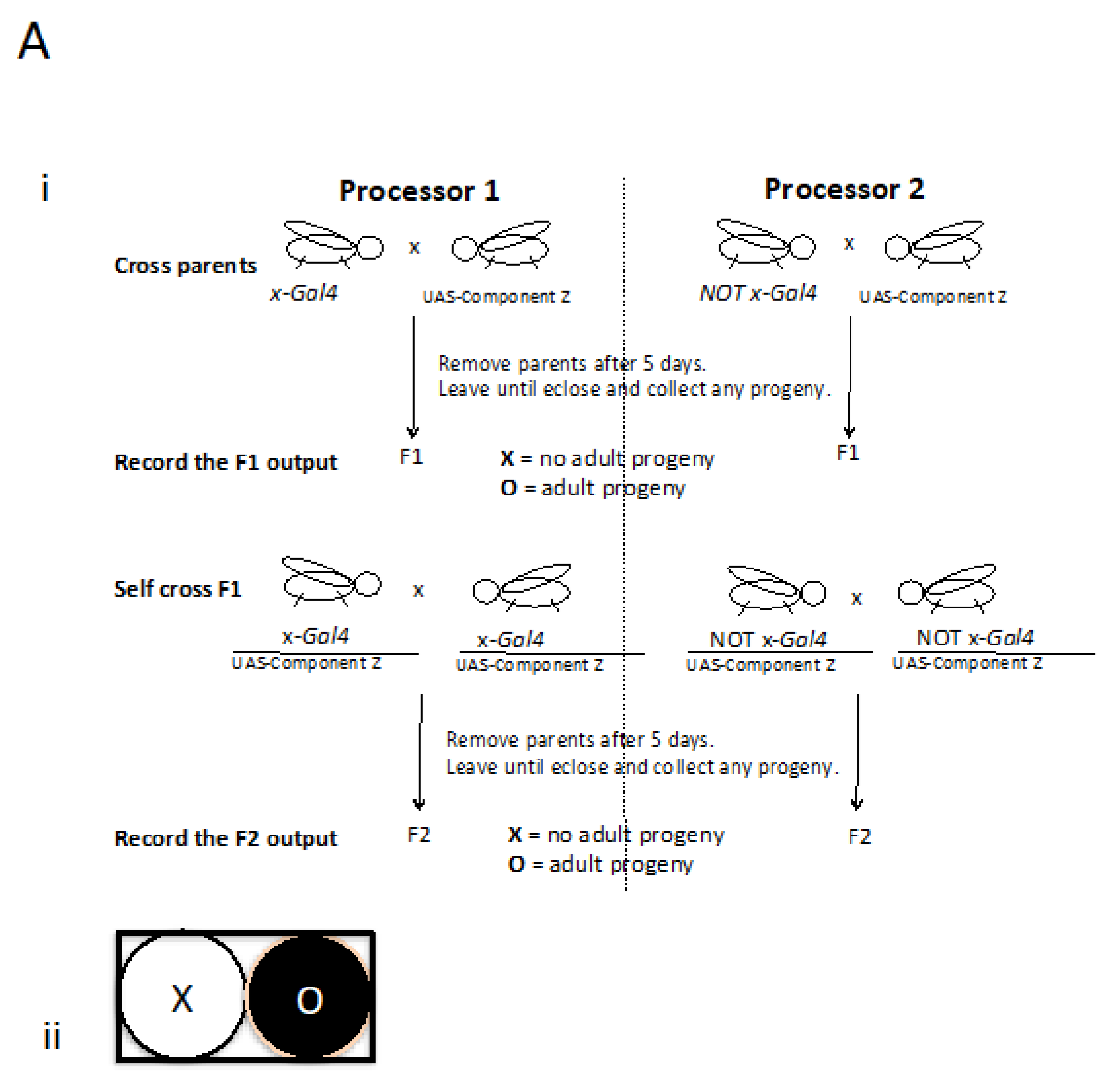 Preprints 107138 g002a