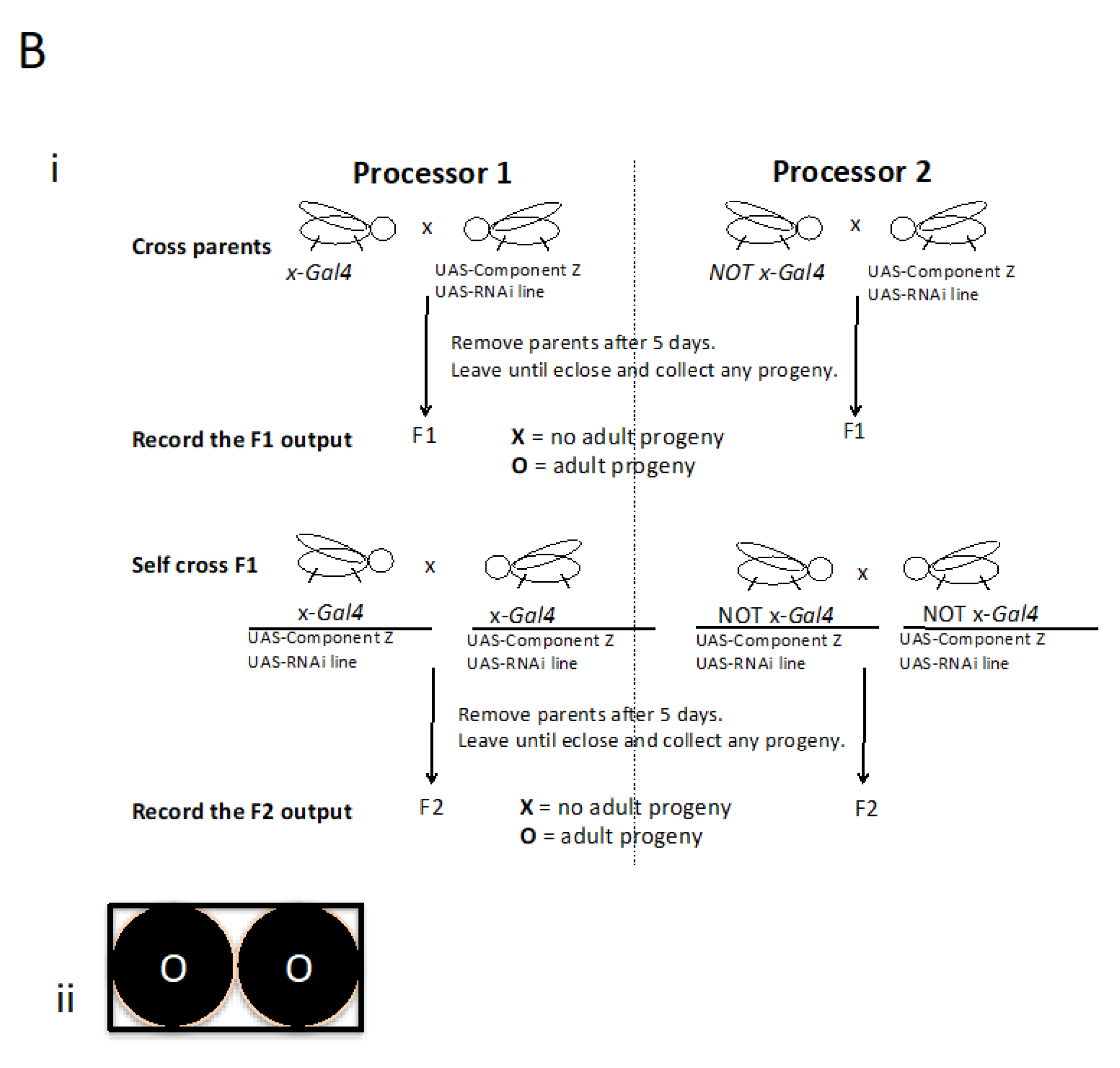 Preprints 107138 g002b