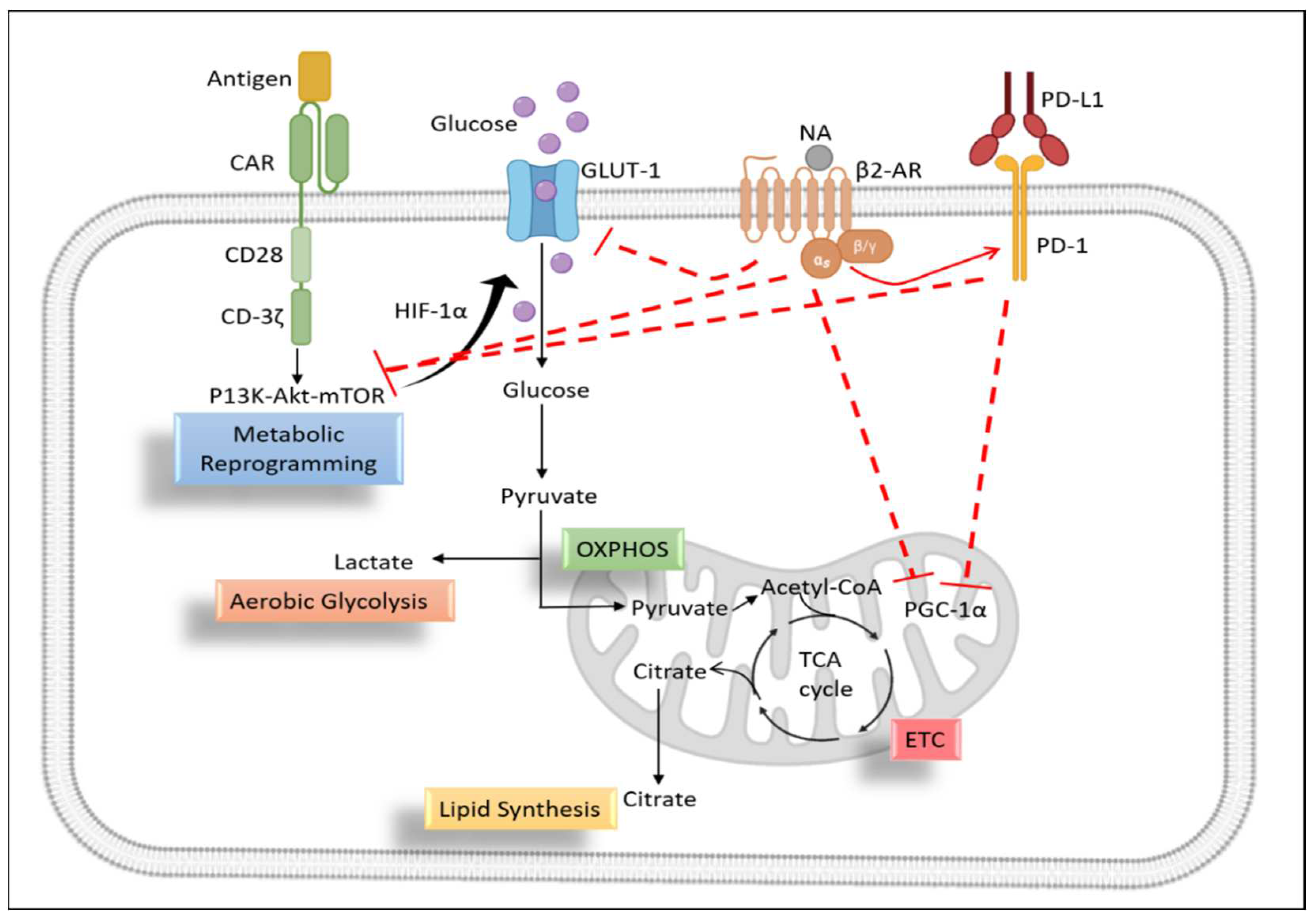 Preprints 79657 g004