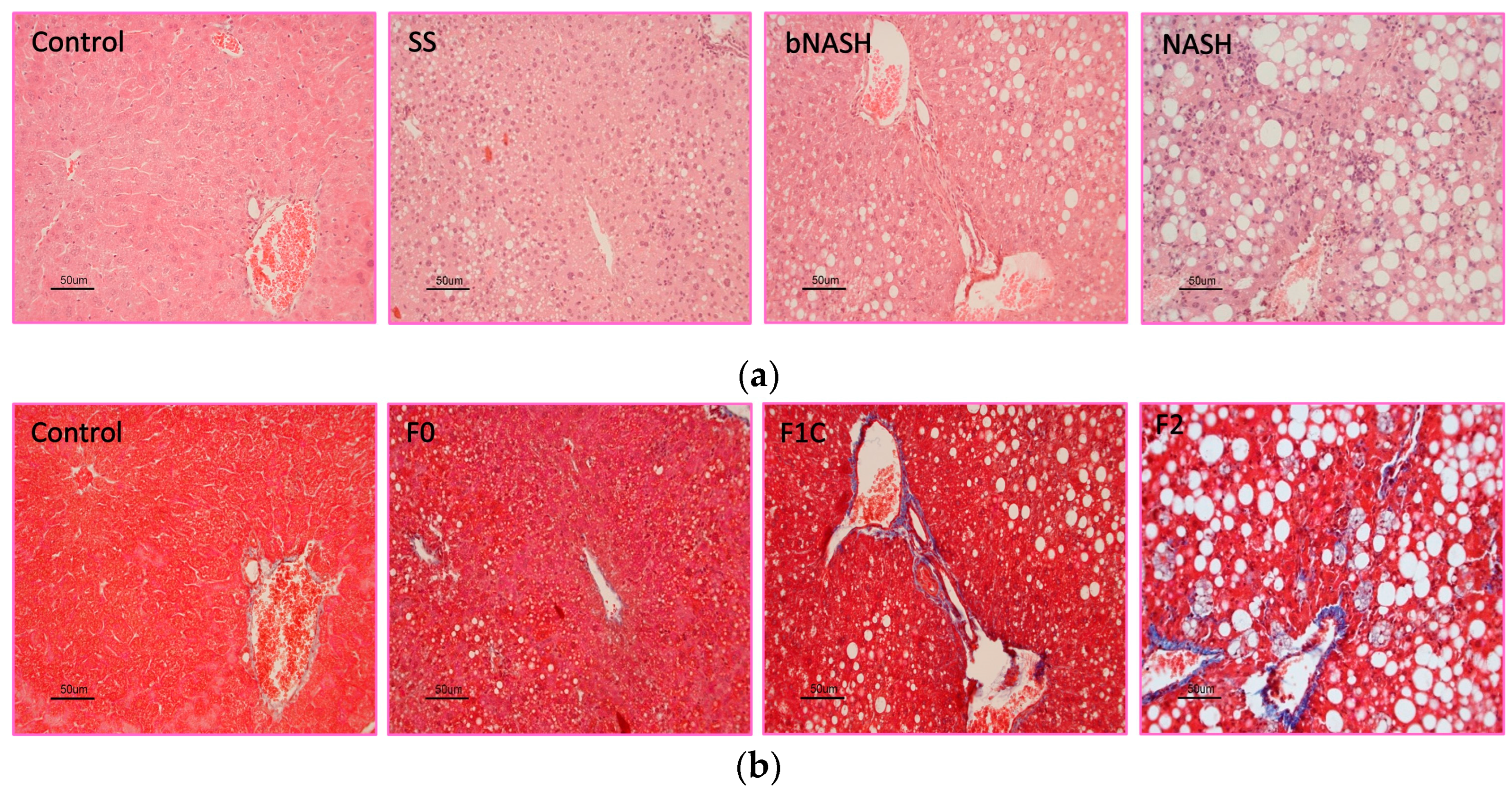 Preprints 99929 g001