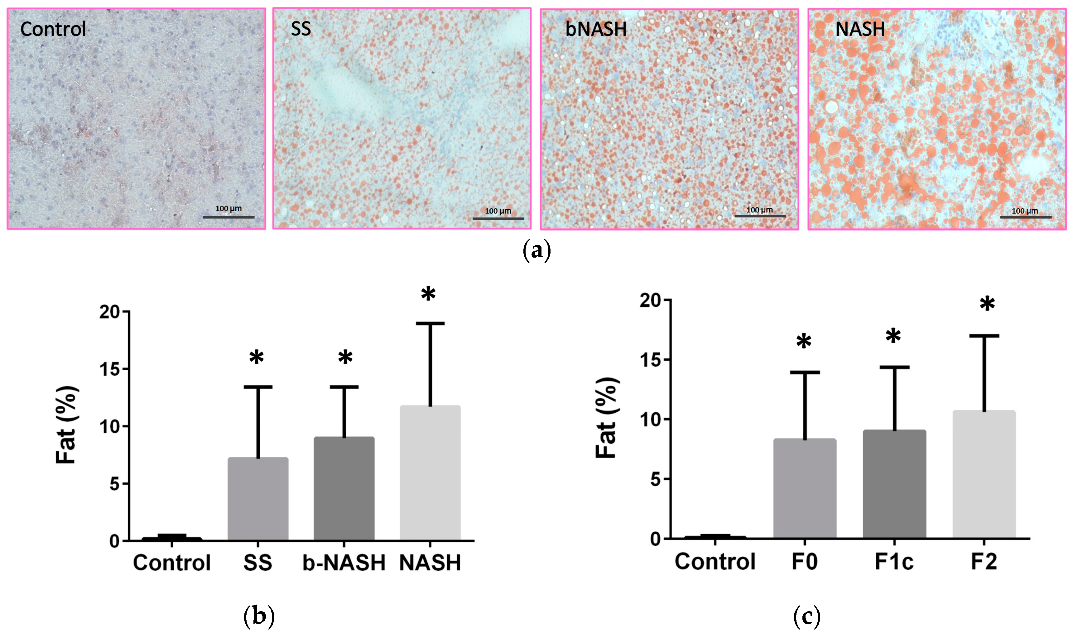 Preprints 99929 g002