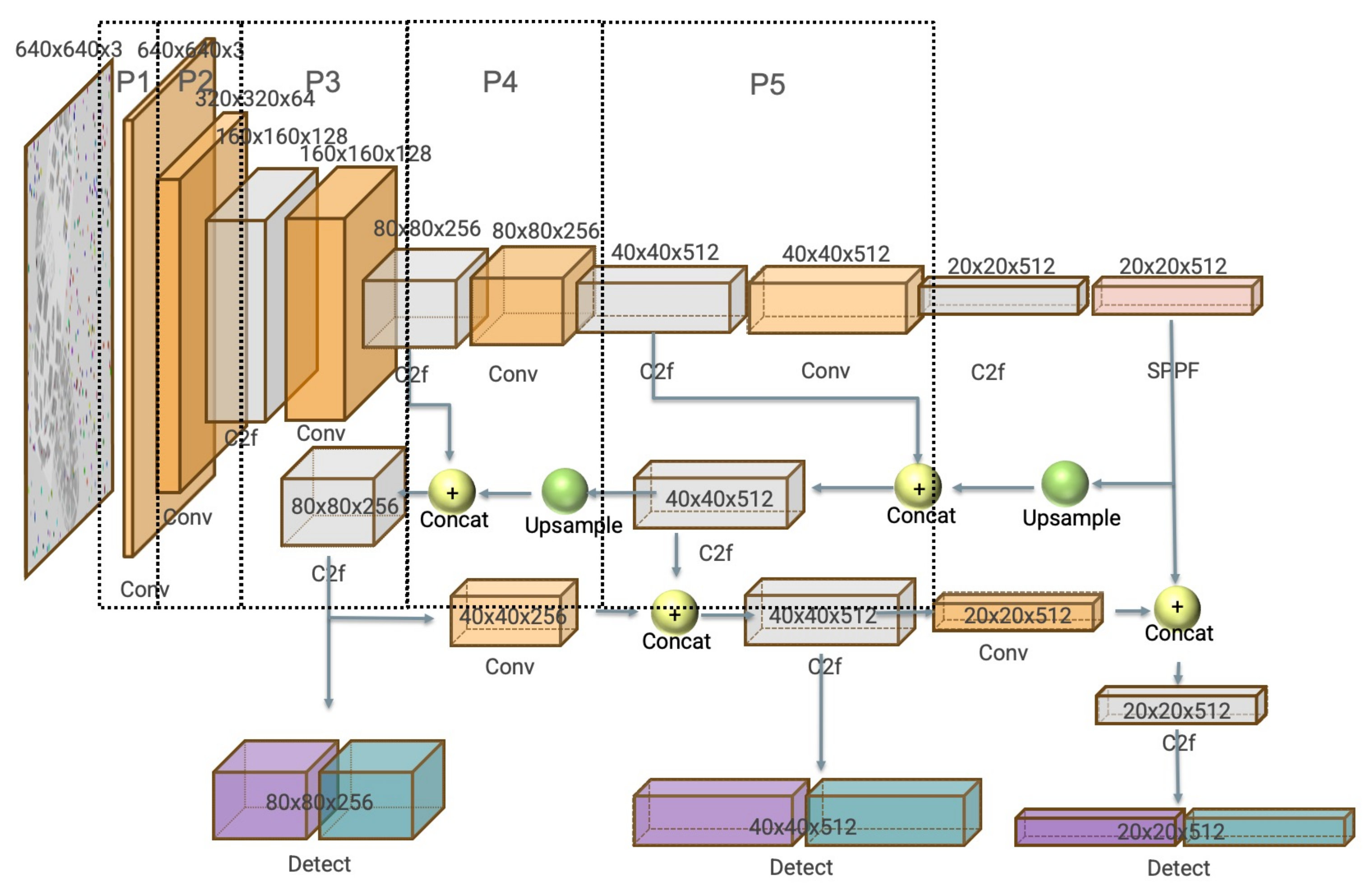 Preprints 108047 g005