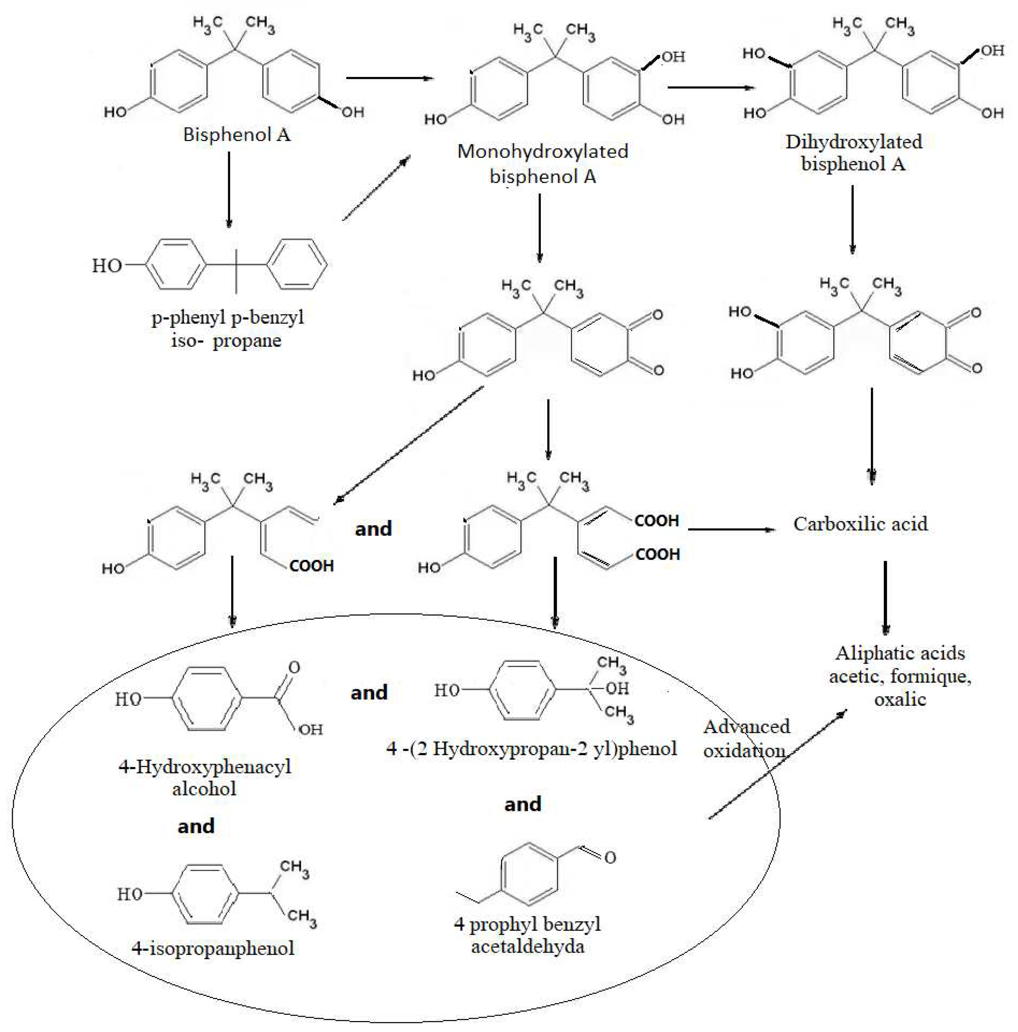 Preprints 81950 g007