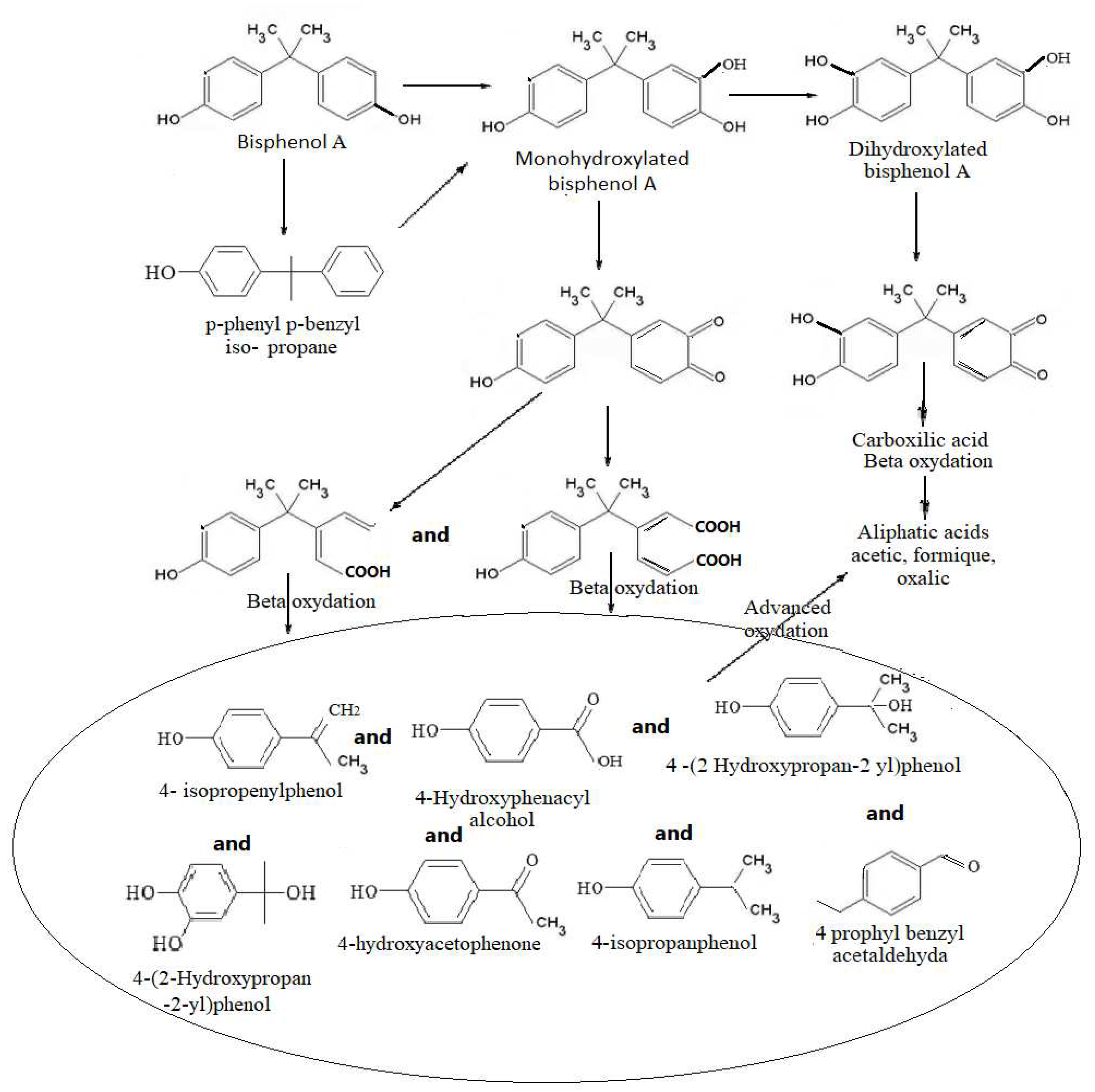 Preprints 81950 g010