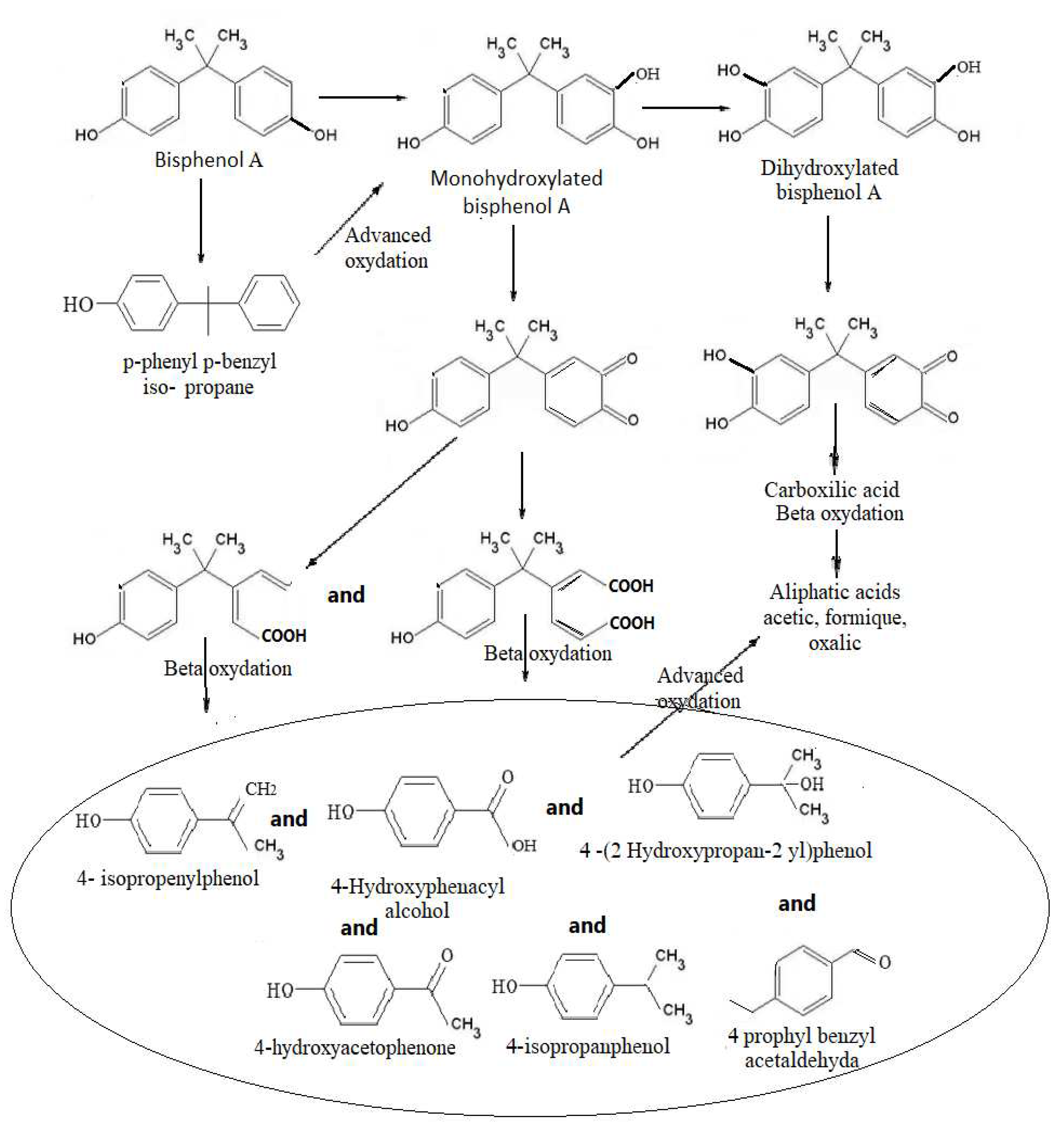 Preprints 81950 g013