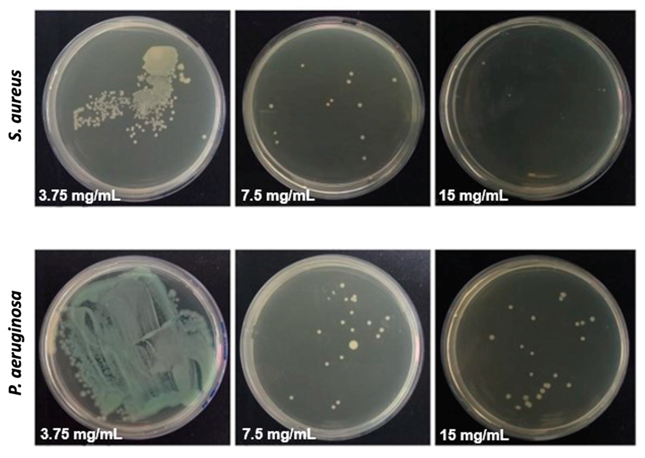 Preprints 110949 g006