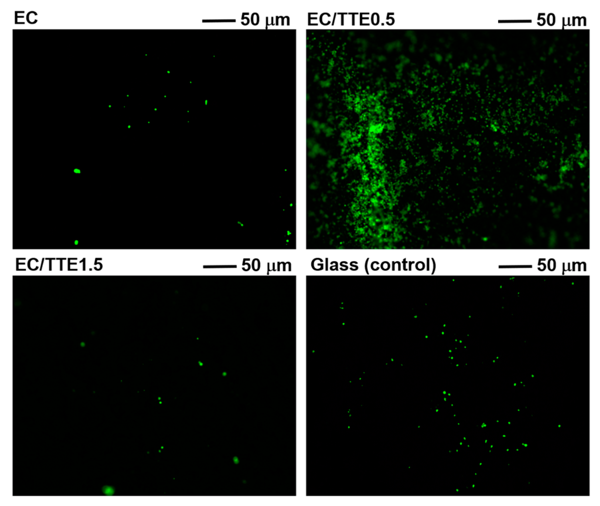 Preprints 110949 g008