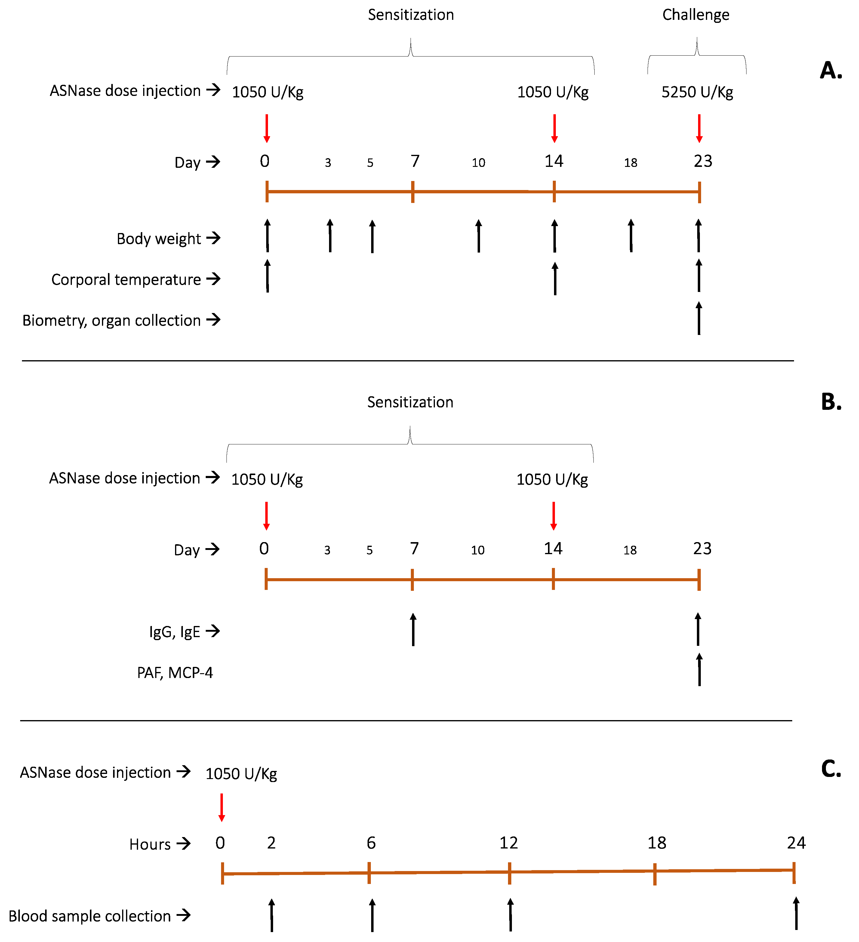 Preprints 104410 g008