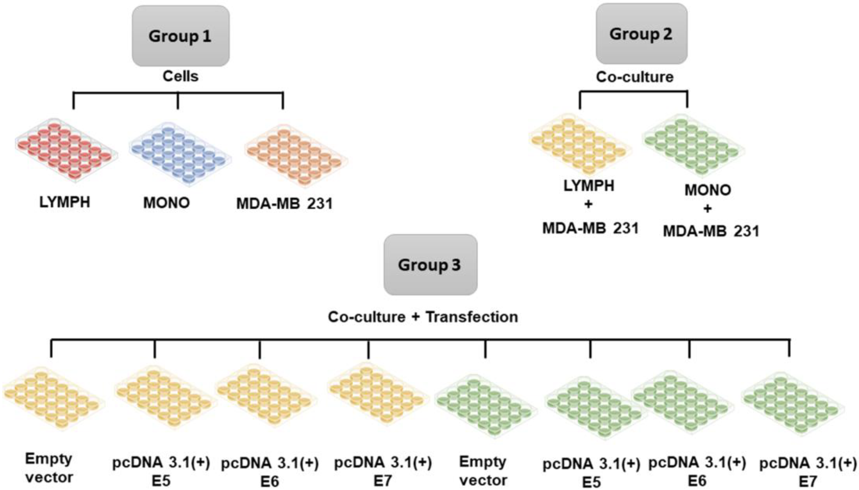 Preprints 93714 g001