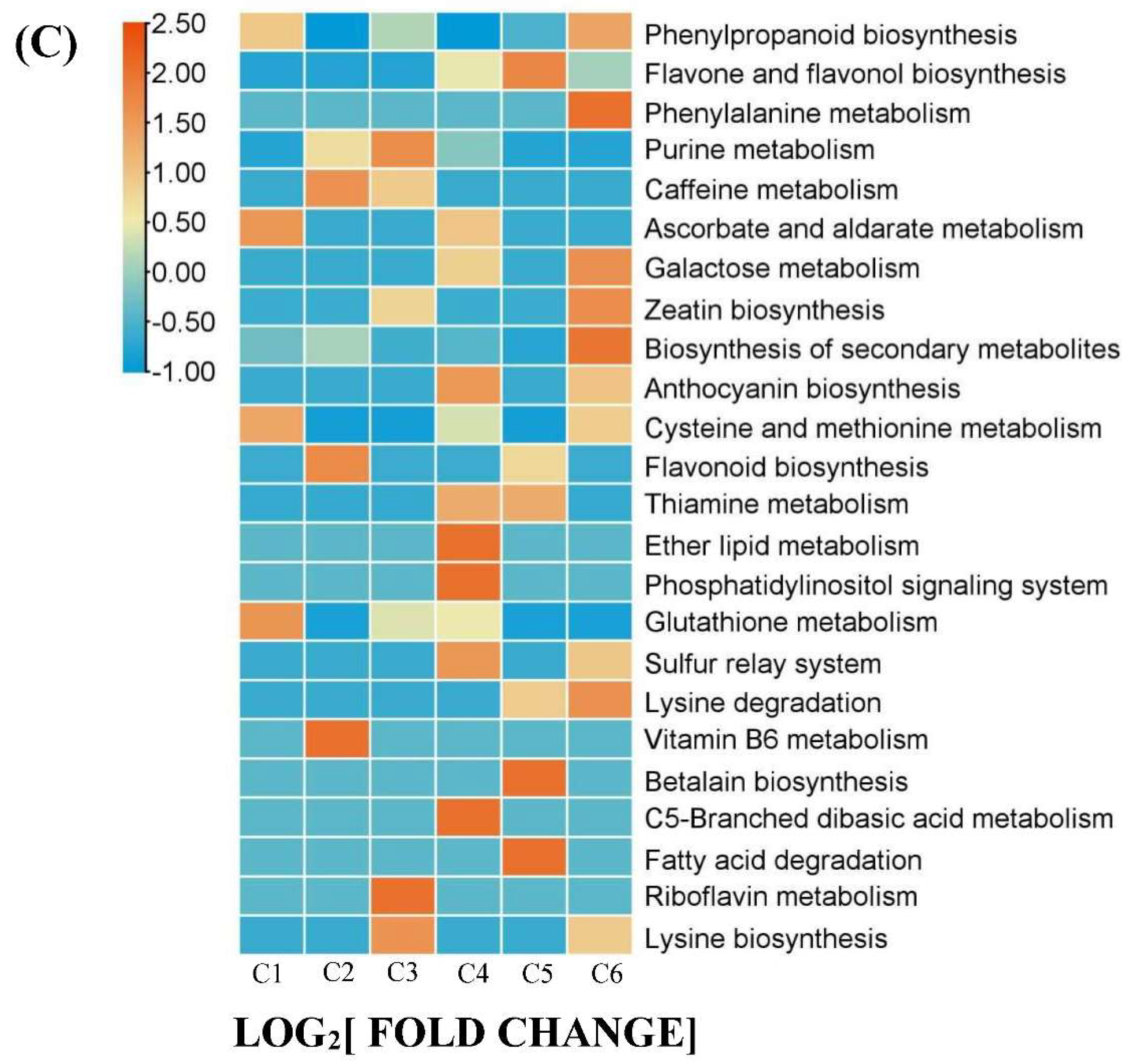 Preprints 86308 g003b