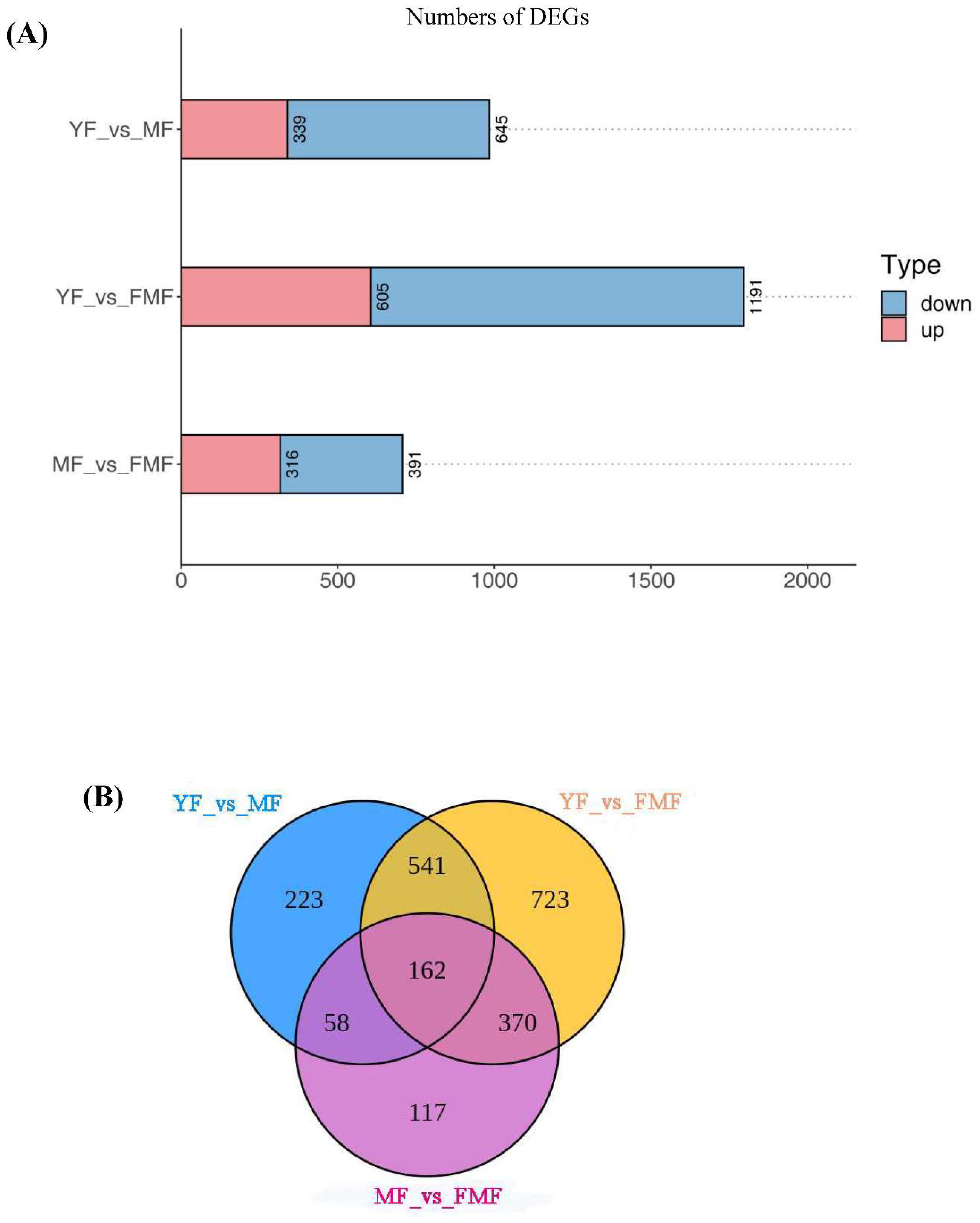 Preprints 86308 g005a