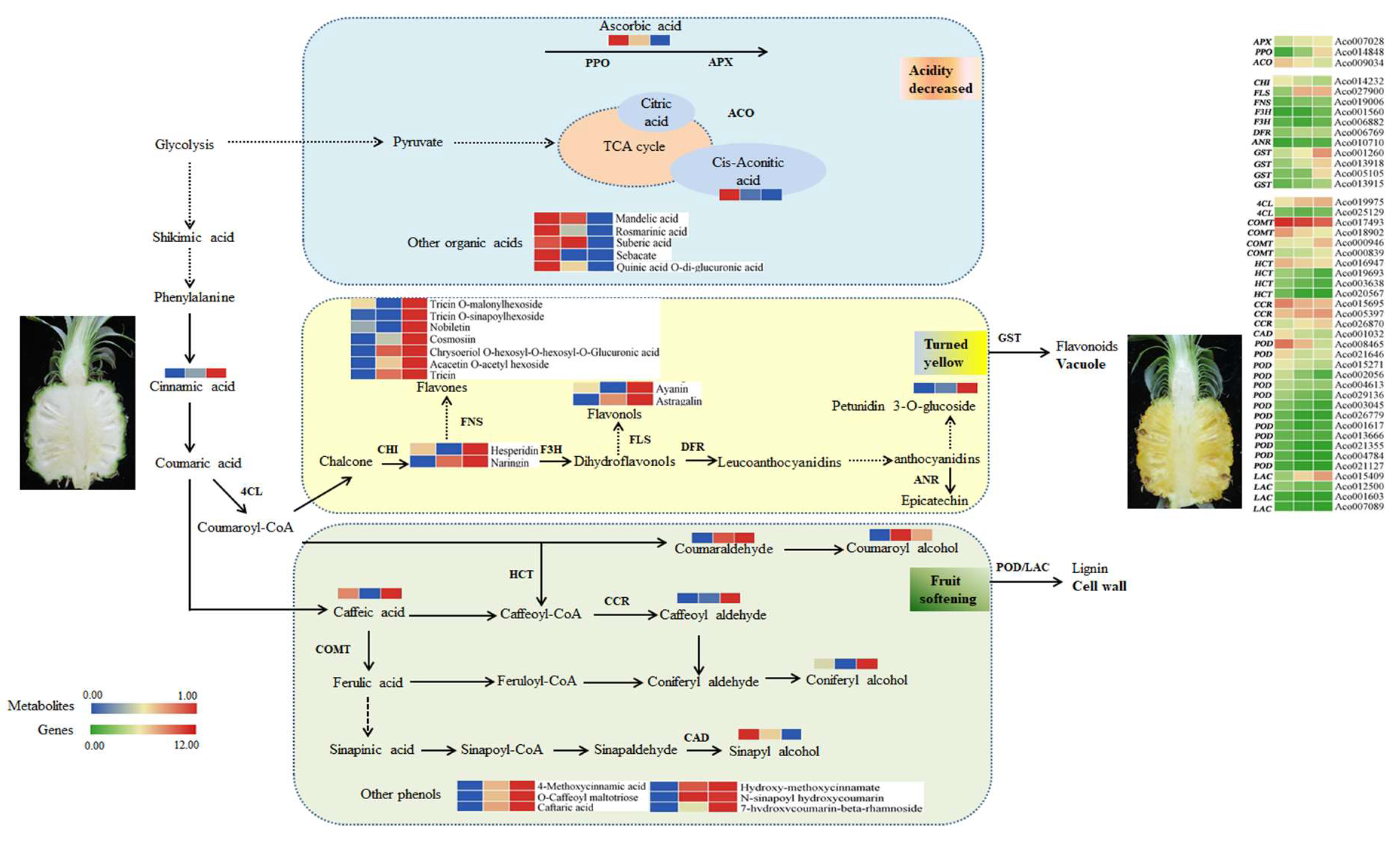 Preprints 86308 g008