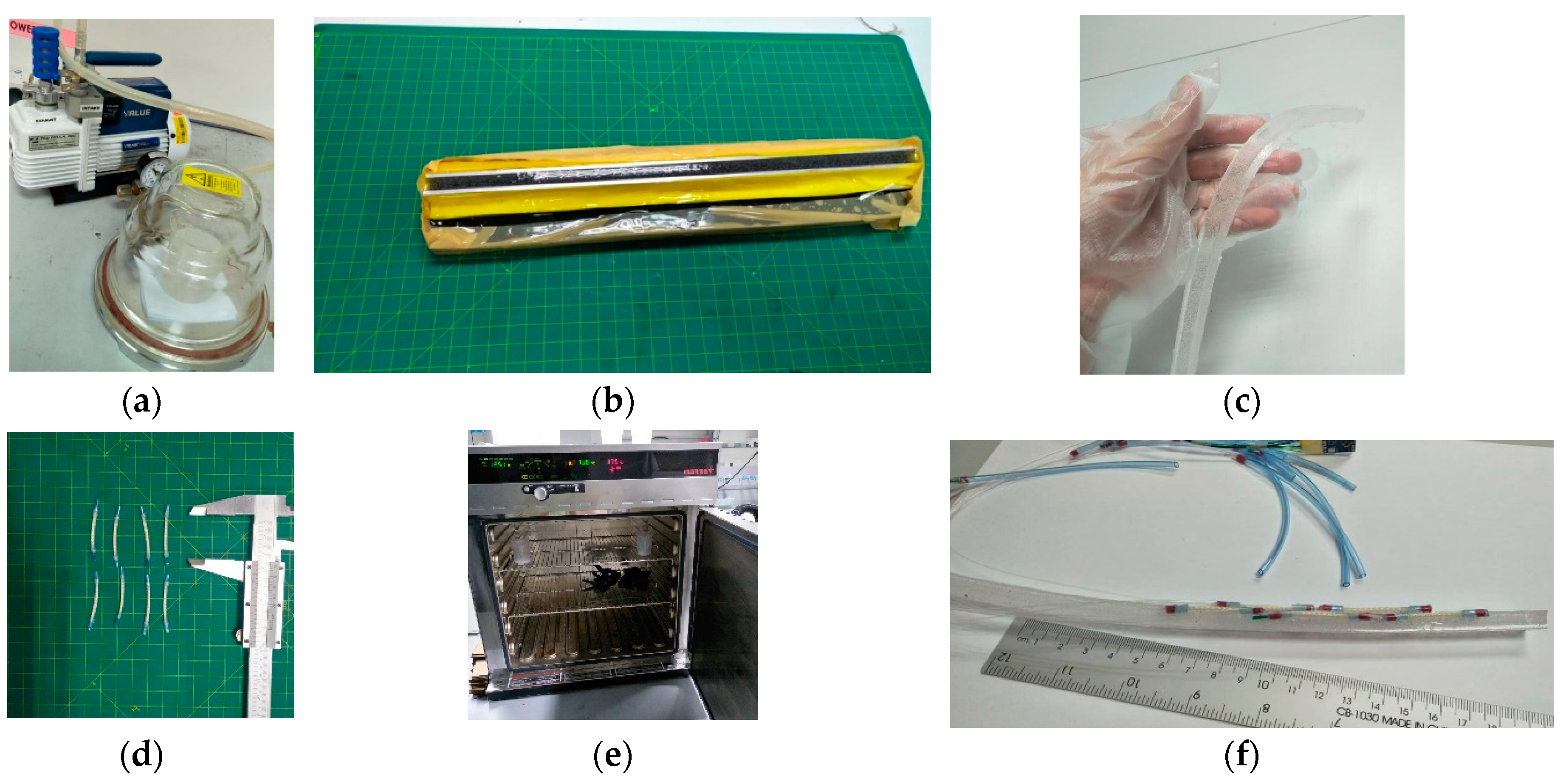 Preprints 98872 g004