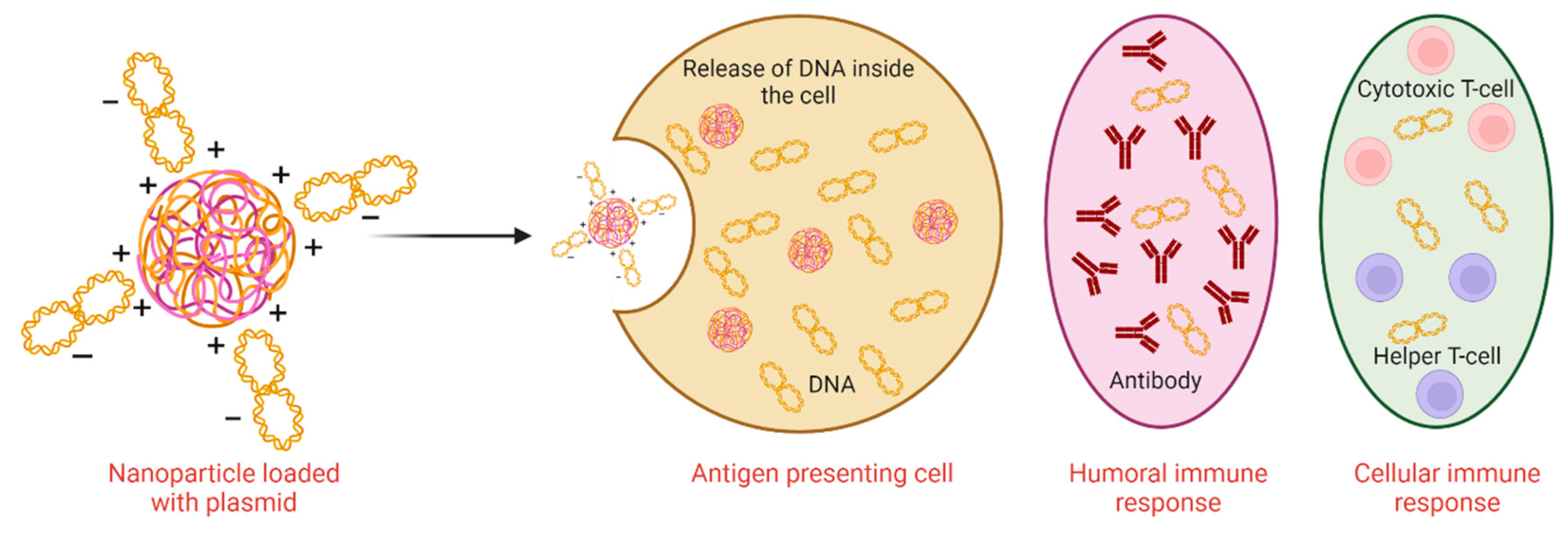 Preprints 80707 g001