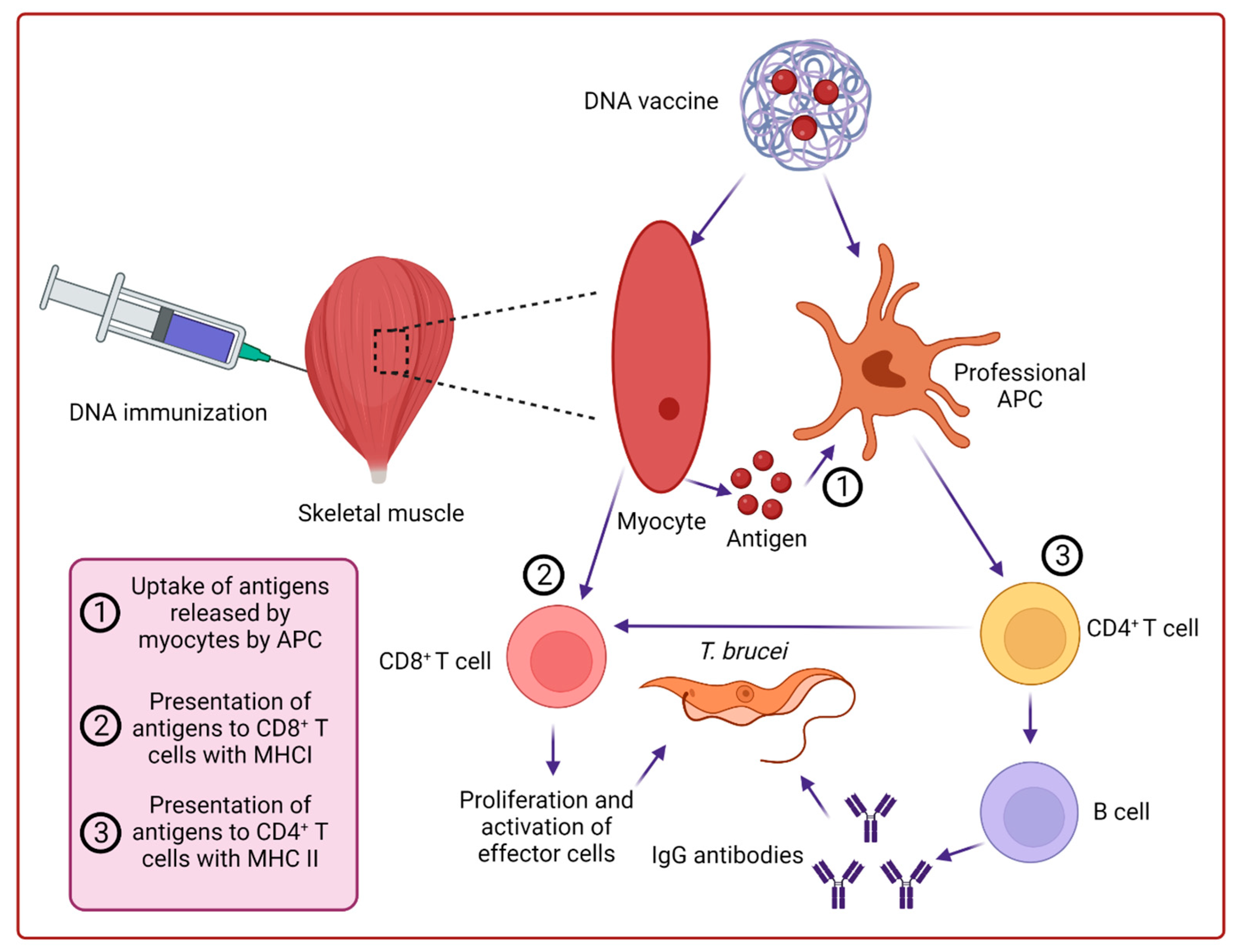 Preprints 80707 g002