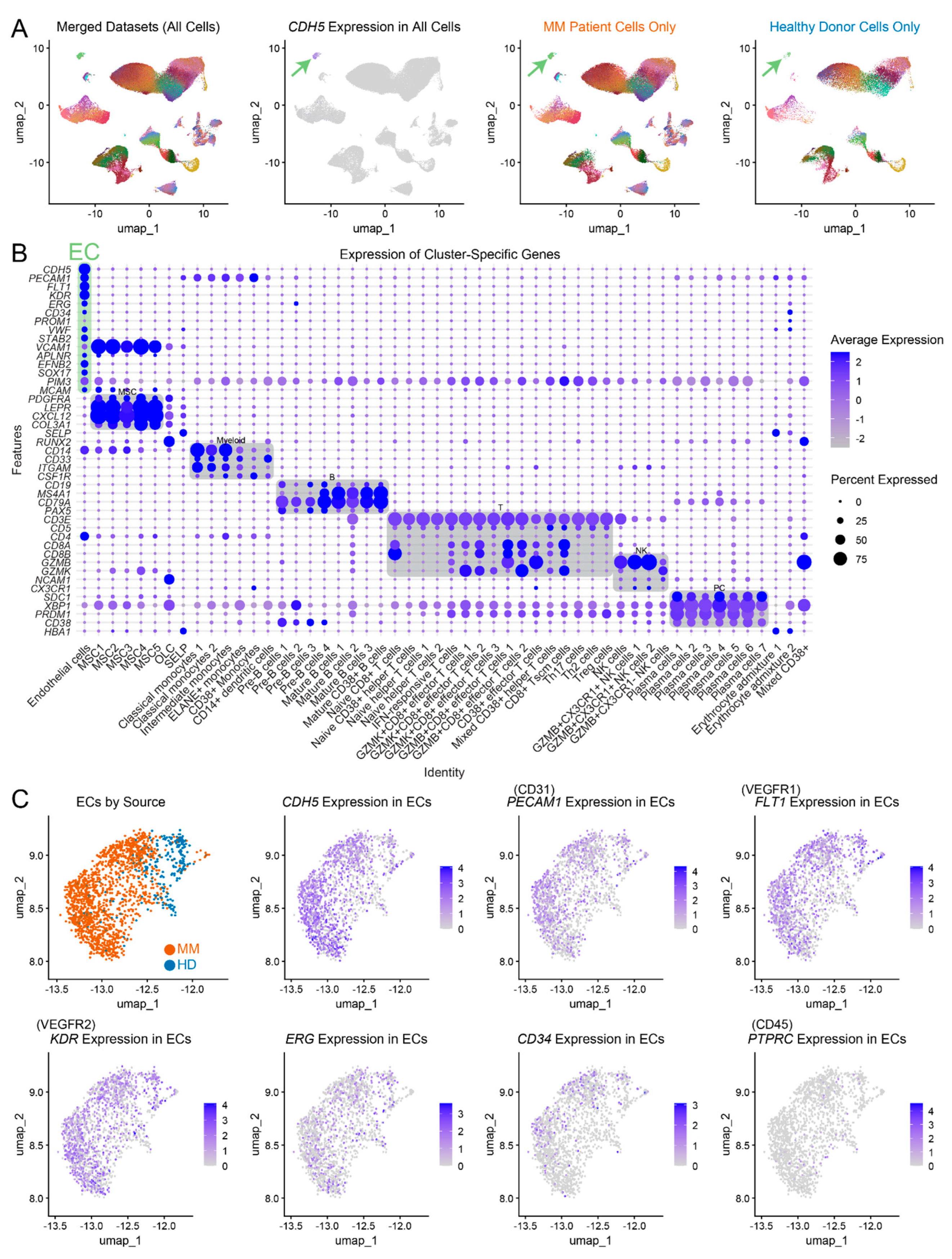 Preprints 120341 g001