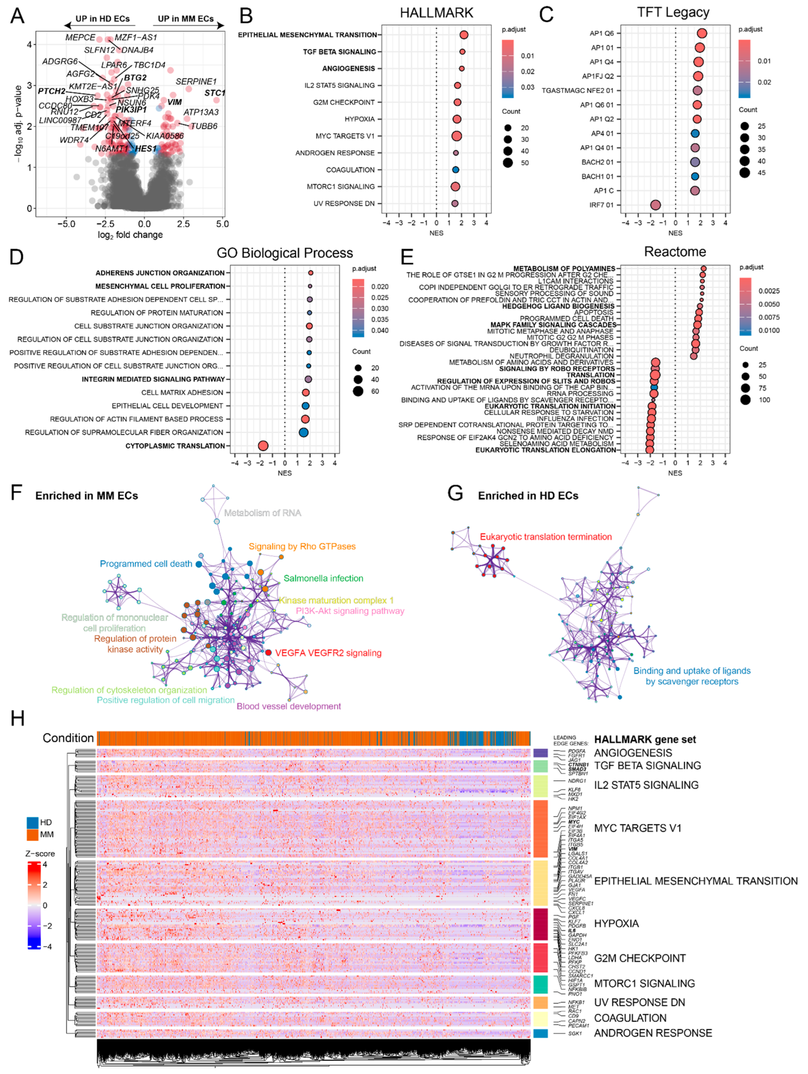 Preprints 120341 g002