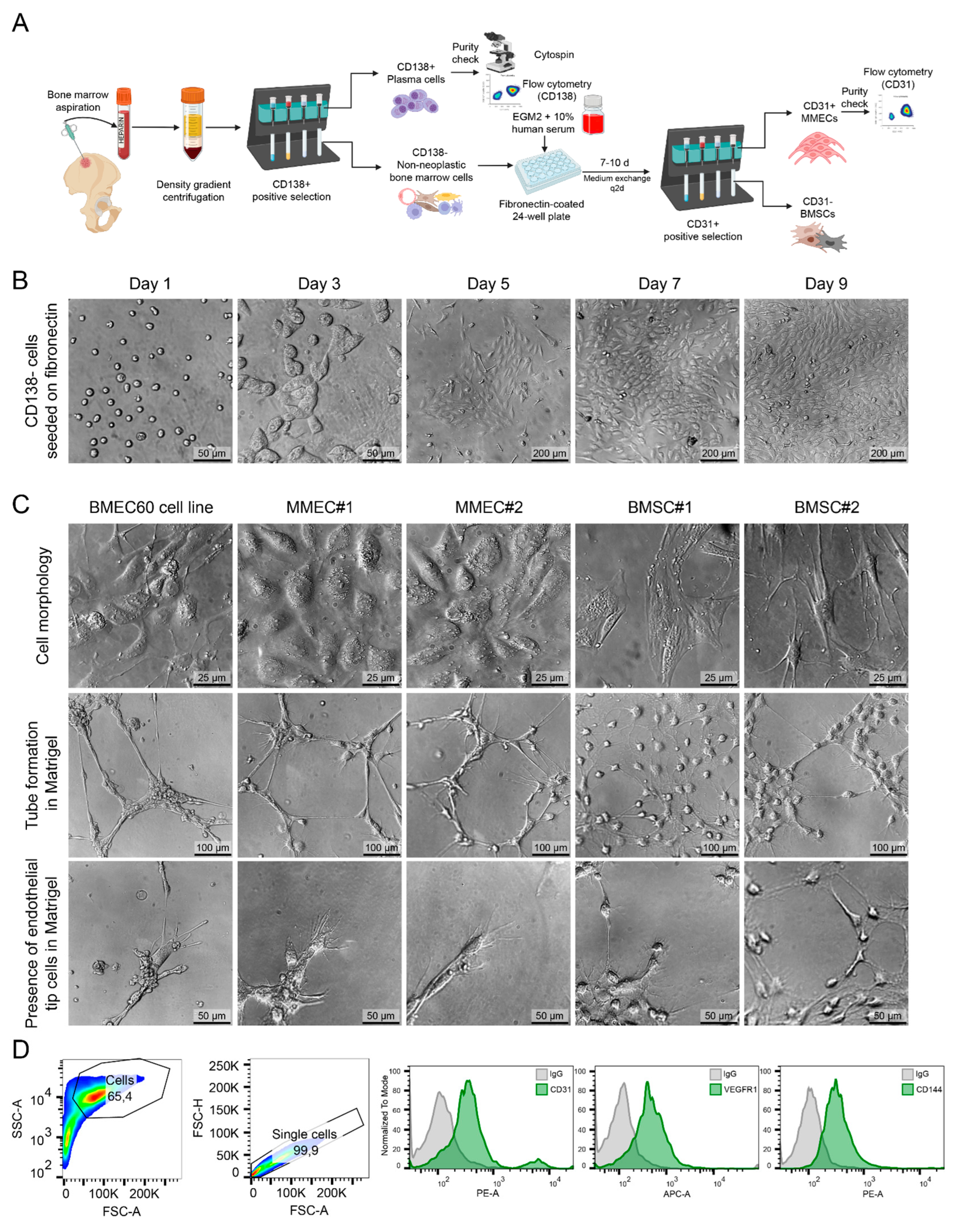 Preprints 120341 g004