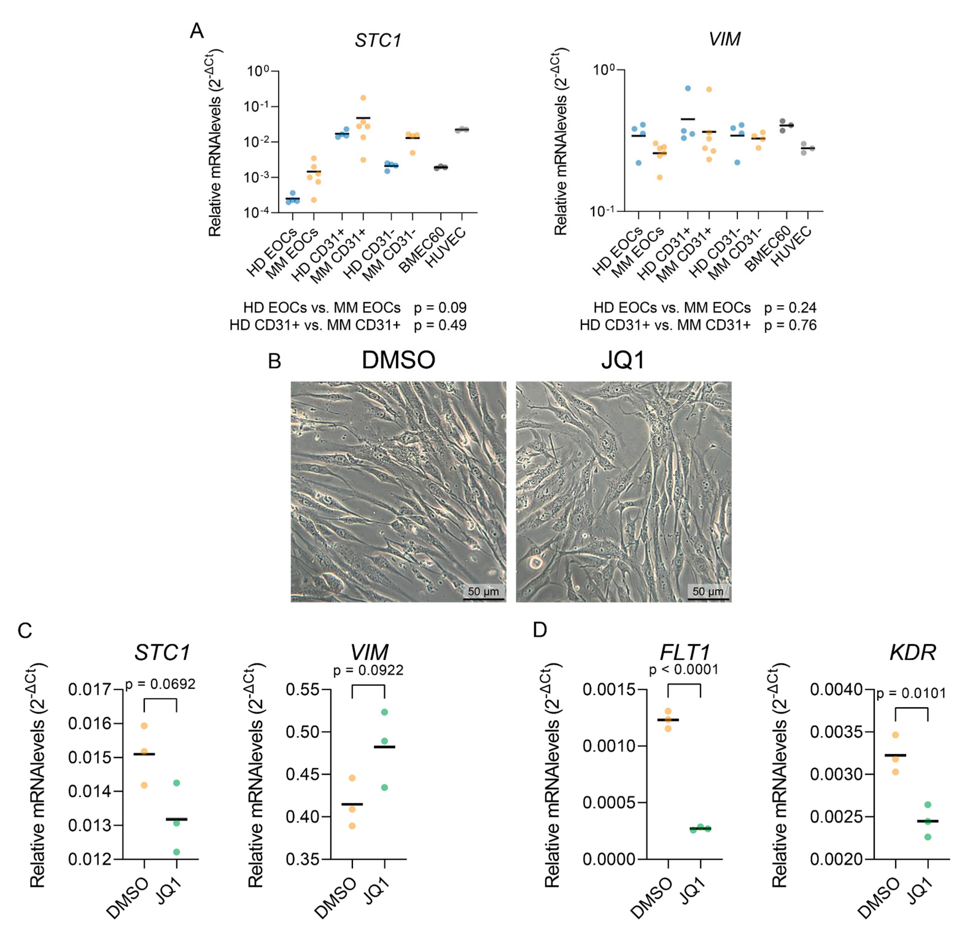 Preprints 120341 g006