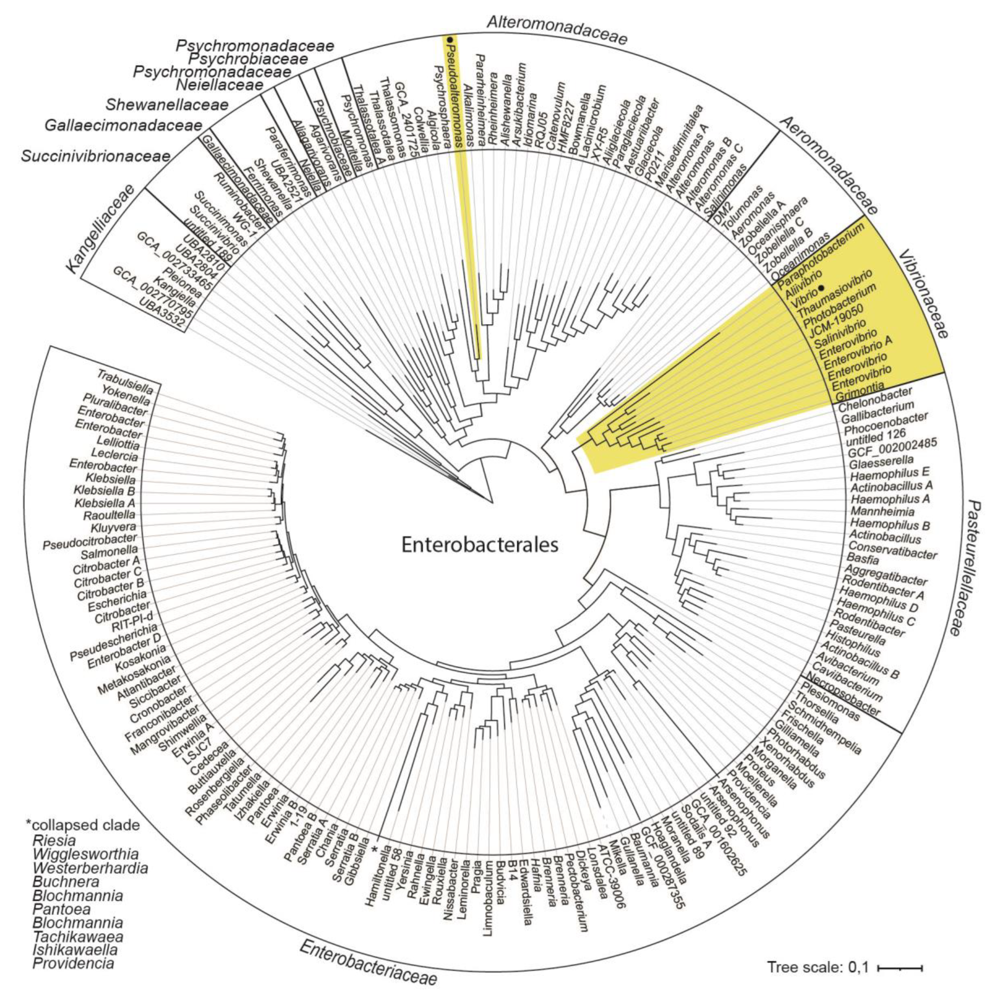 Preprints 68106 g001