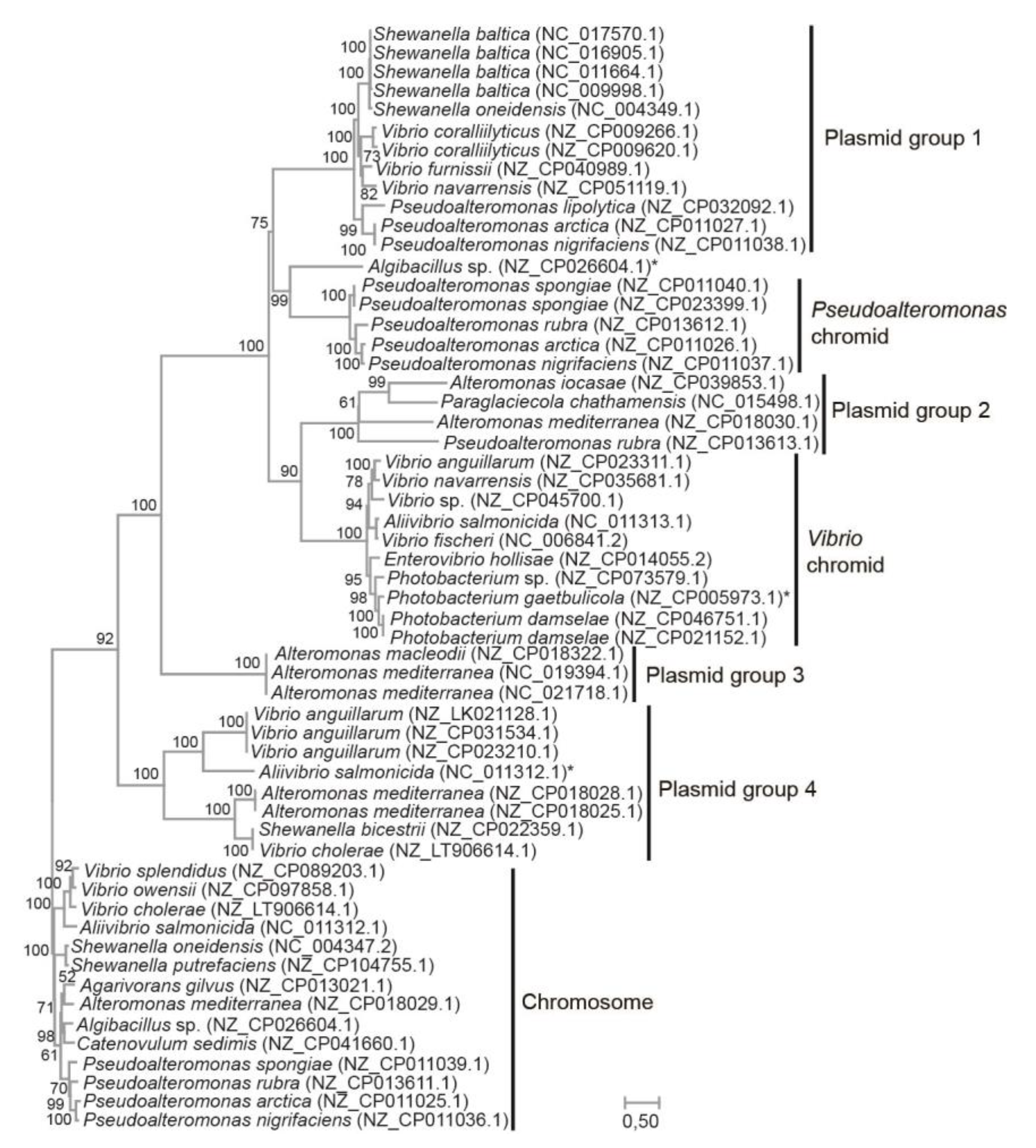 Preprints 68106 g002