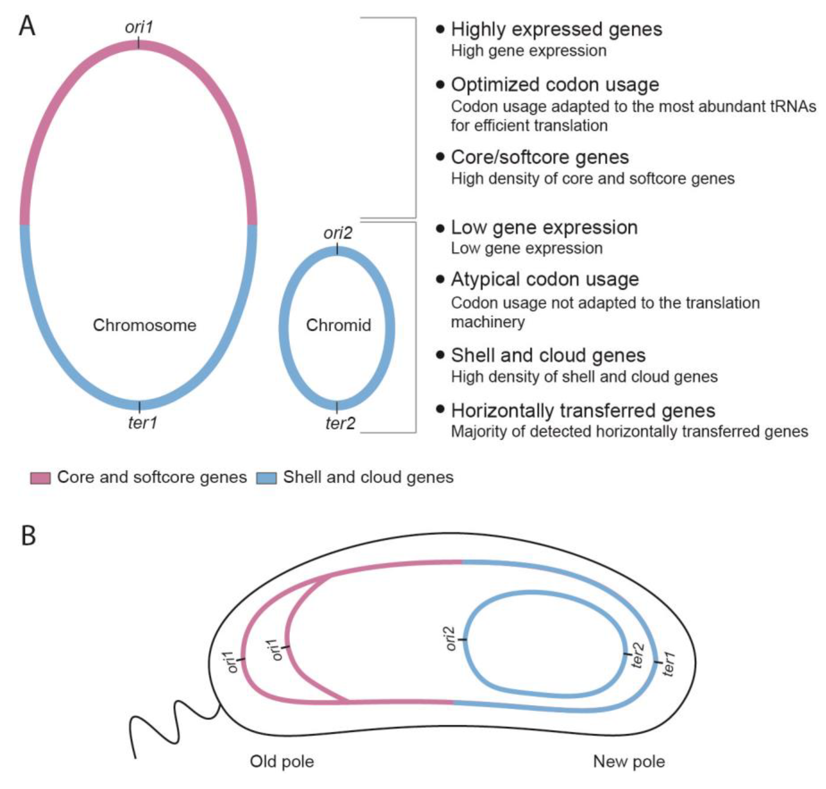 Preprints 68106 g007