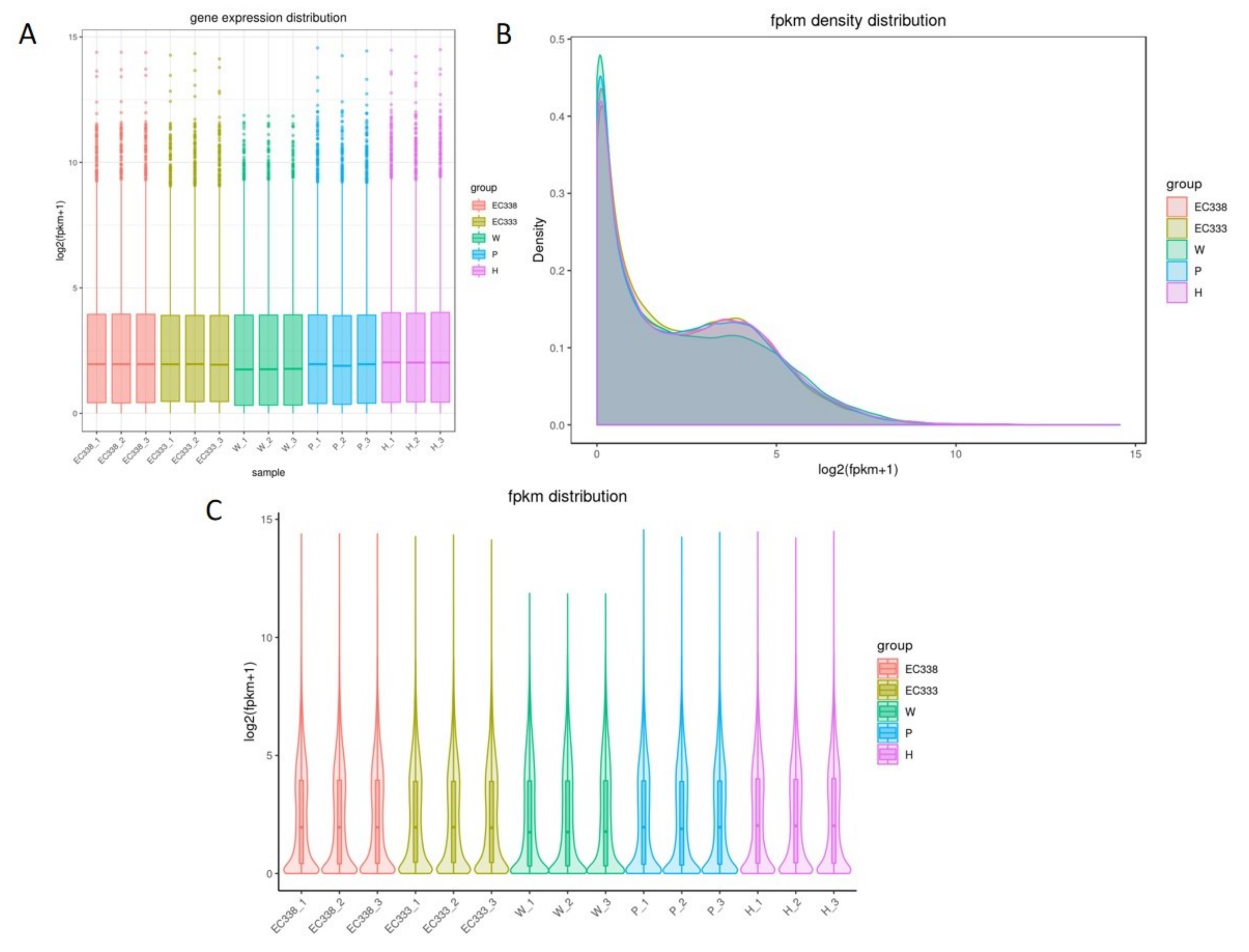 Preprints 111002 g001