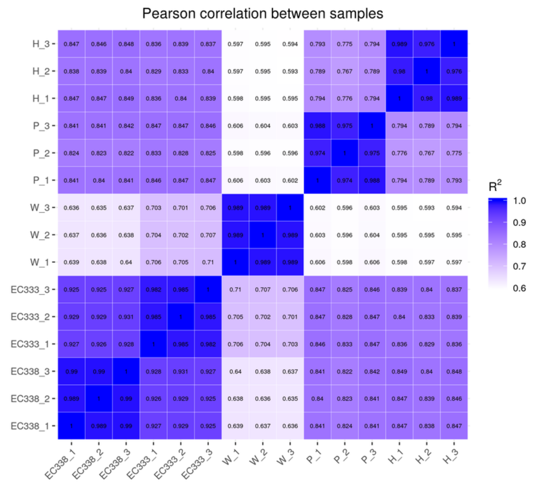 Preprints 111002 g002