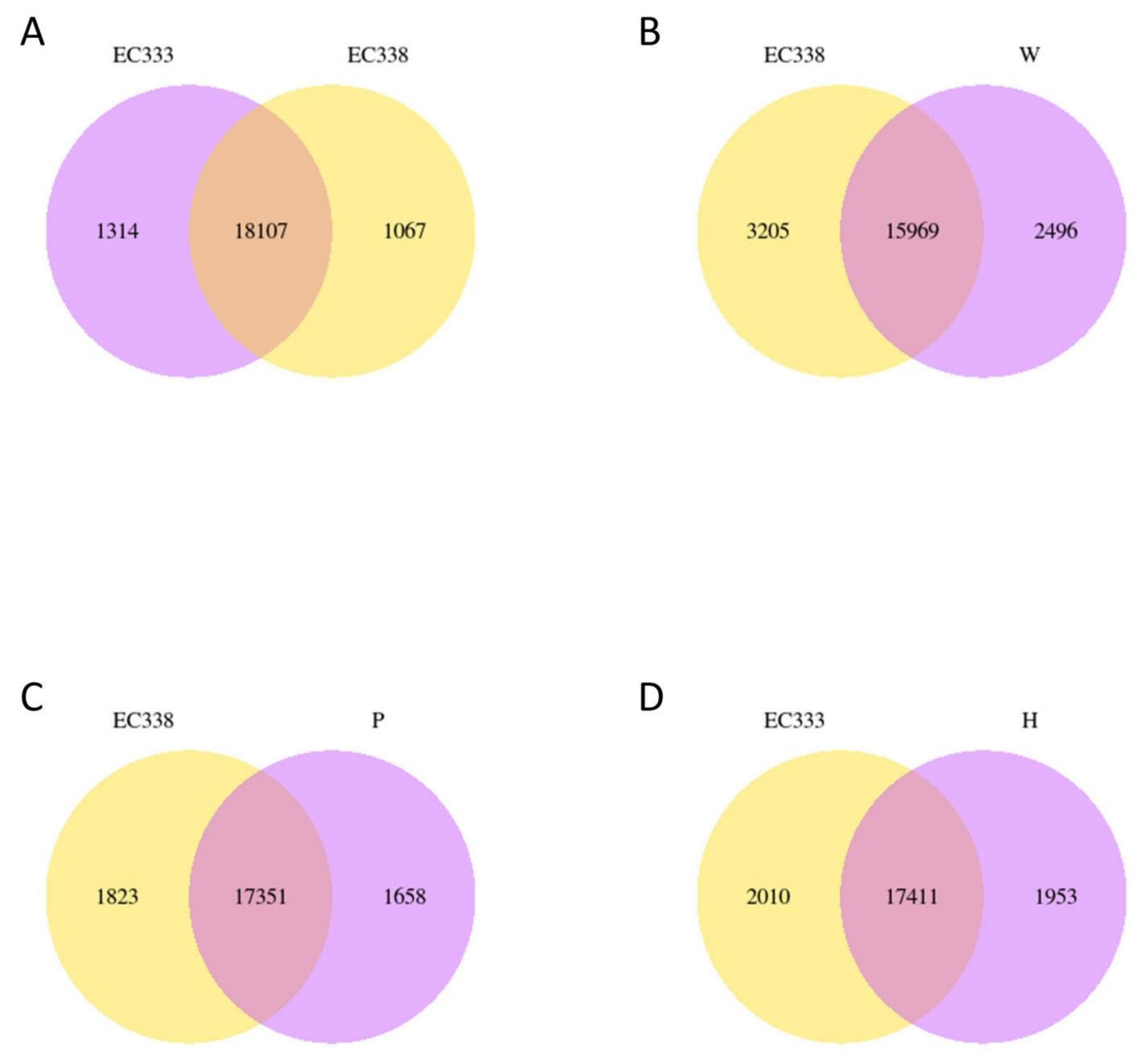 Preprints 111002 g004