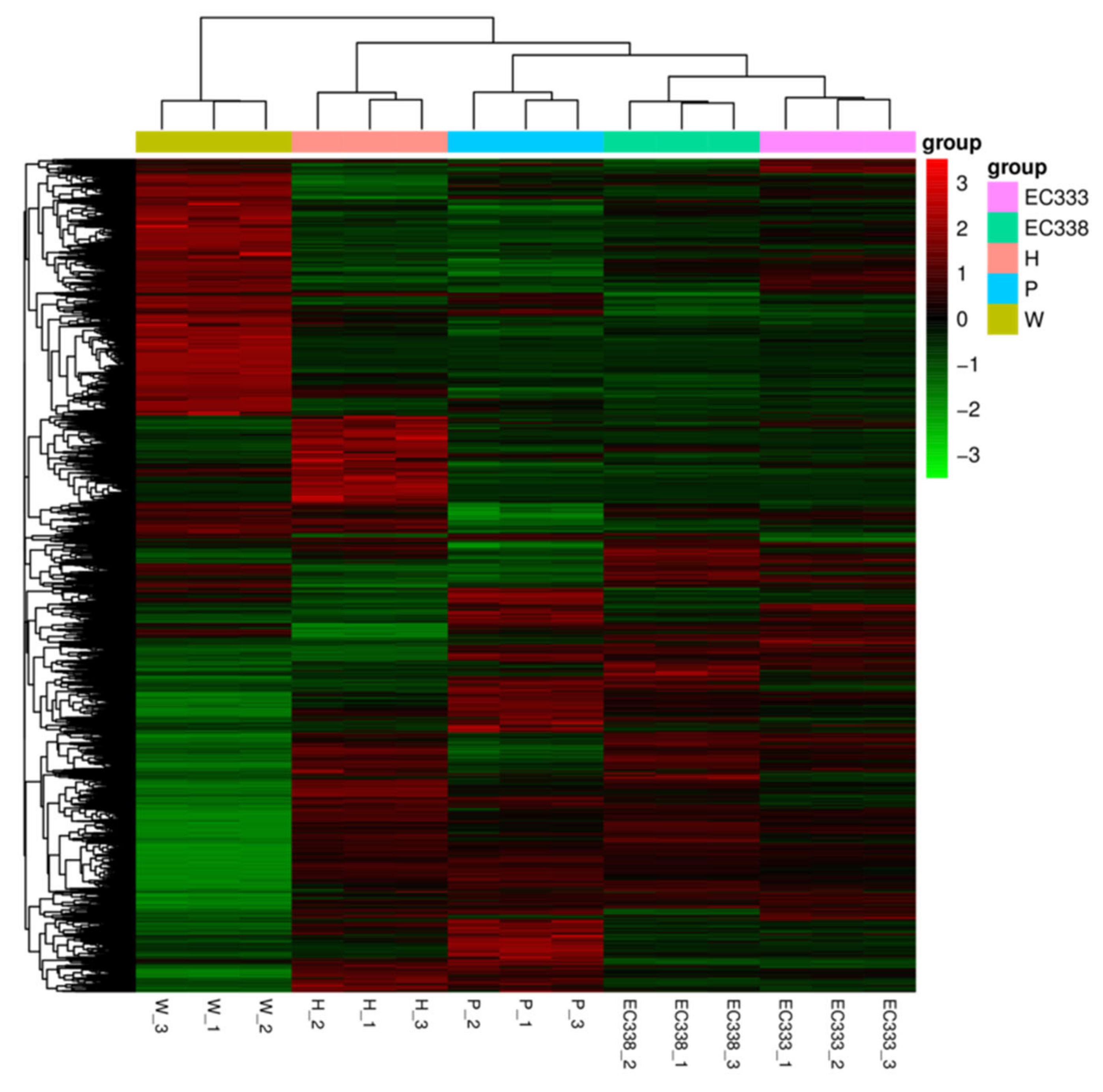 Preprints 111002 g006