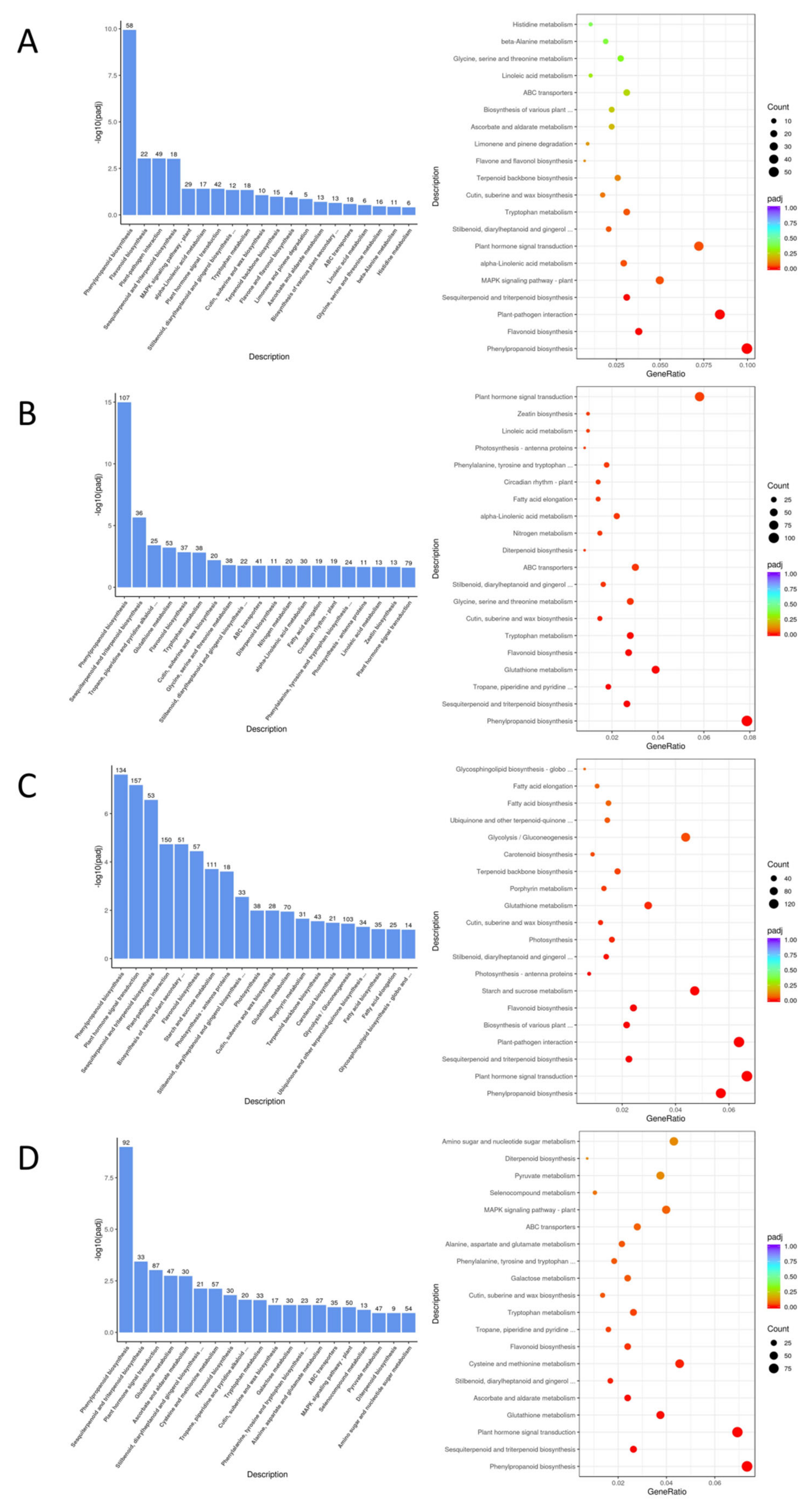 Preprints 111002 g008