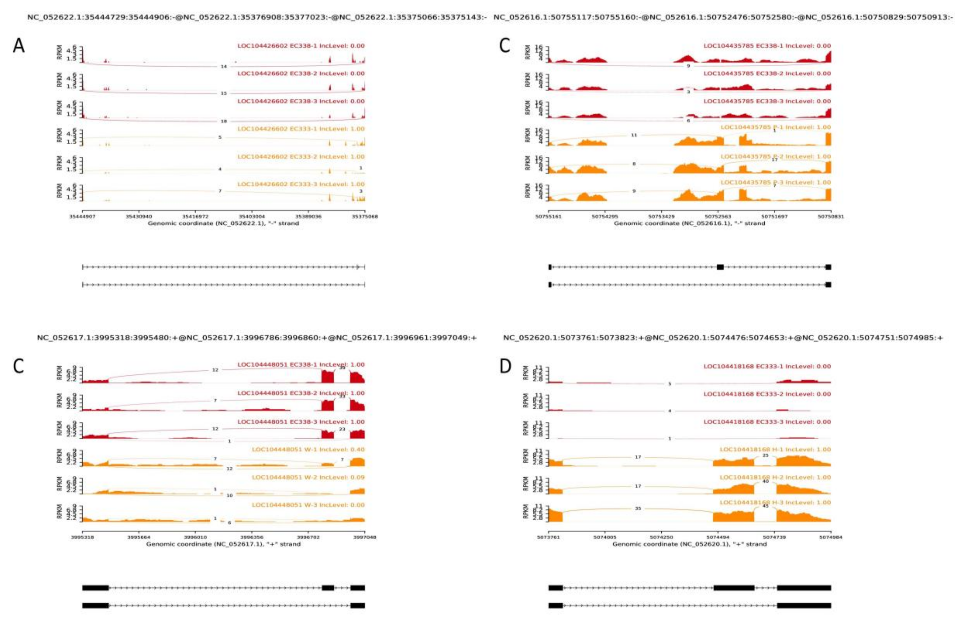 Preprints 111002 g011