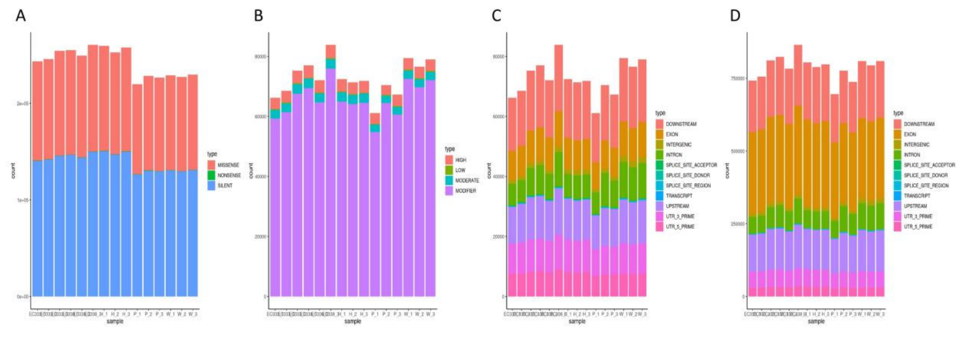 Preprints 111002 g012