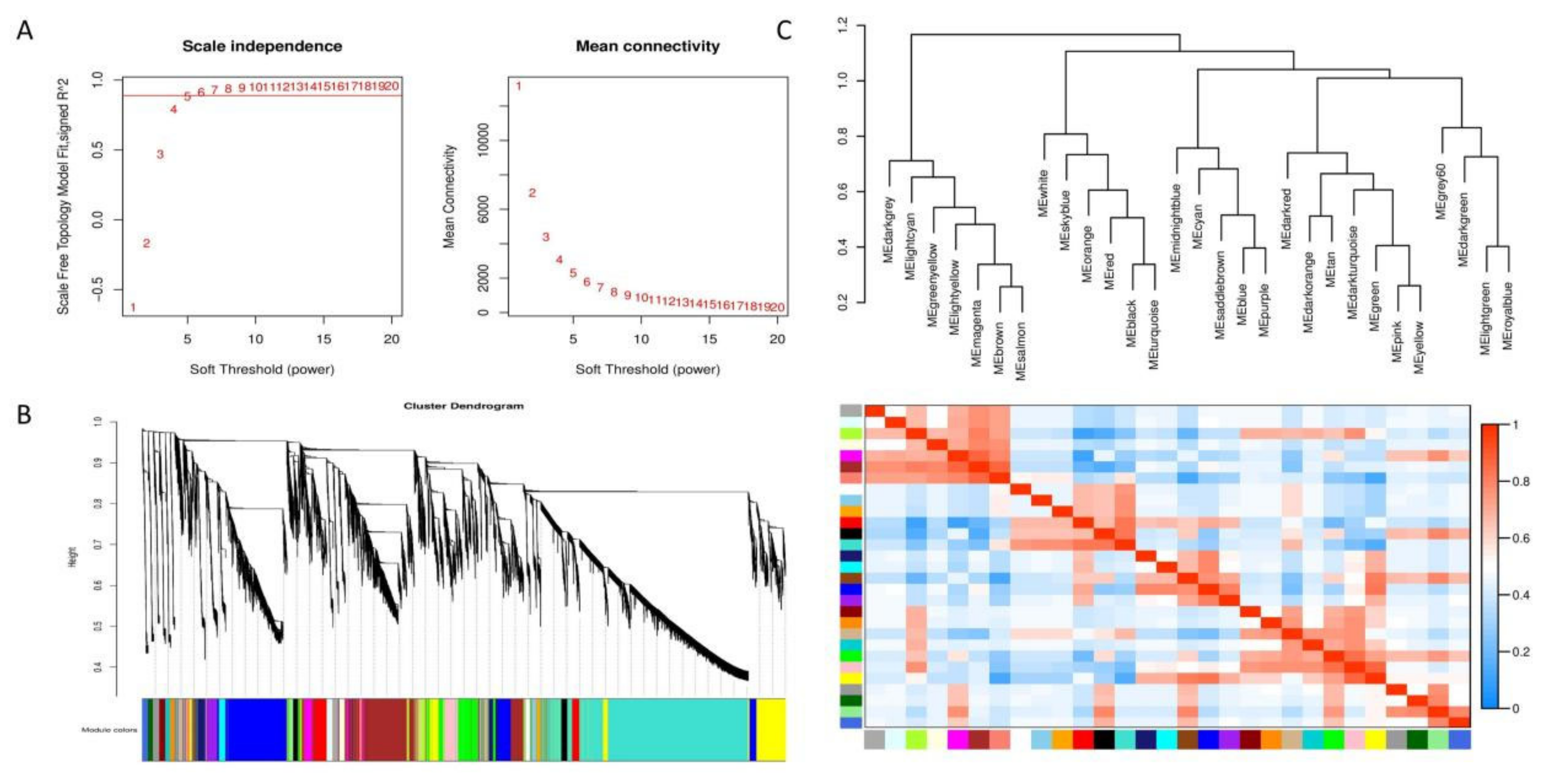 Preprints 111002 g013