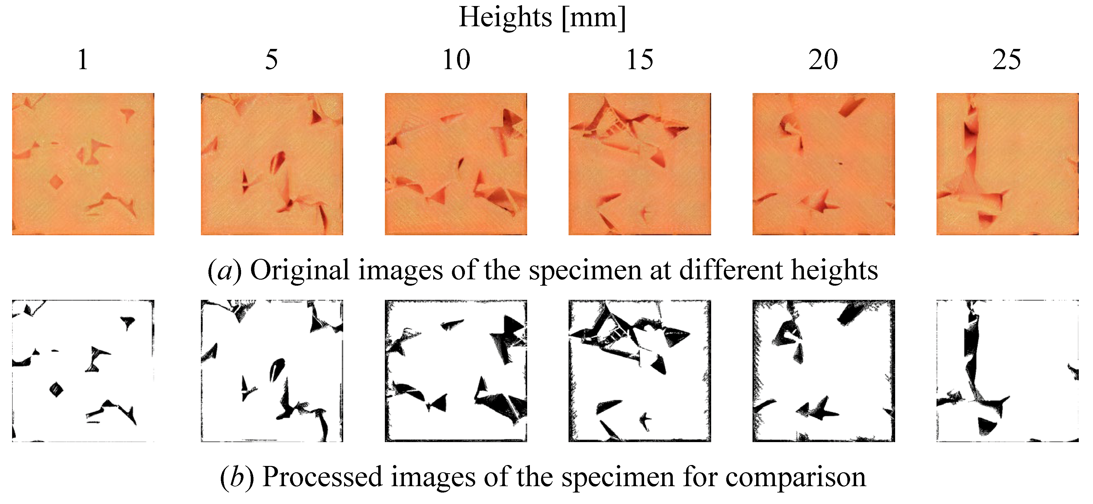 Preprints 103101 g019a