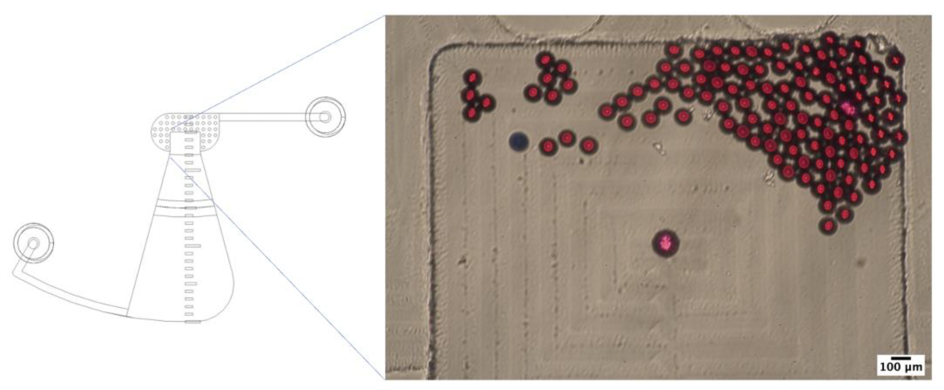 Preprints 86526 g007