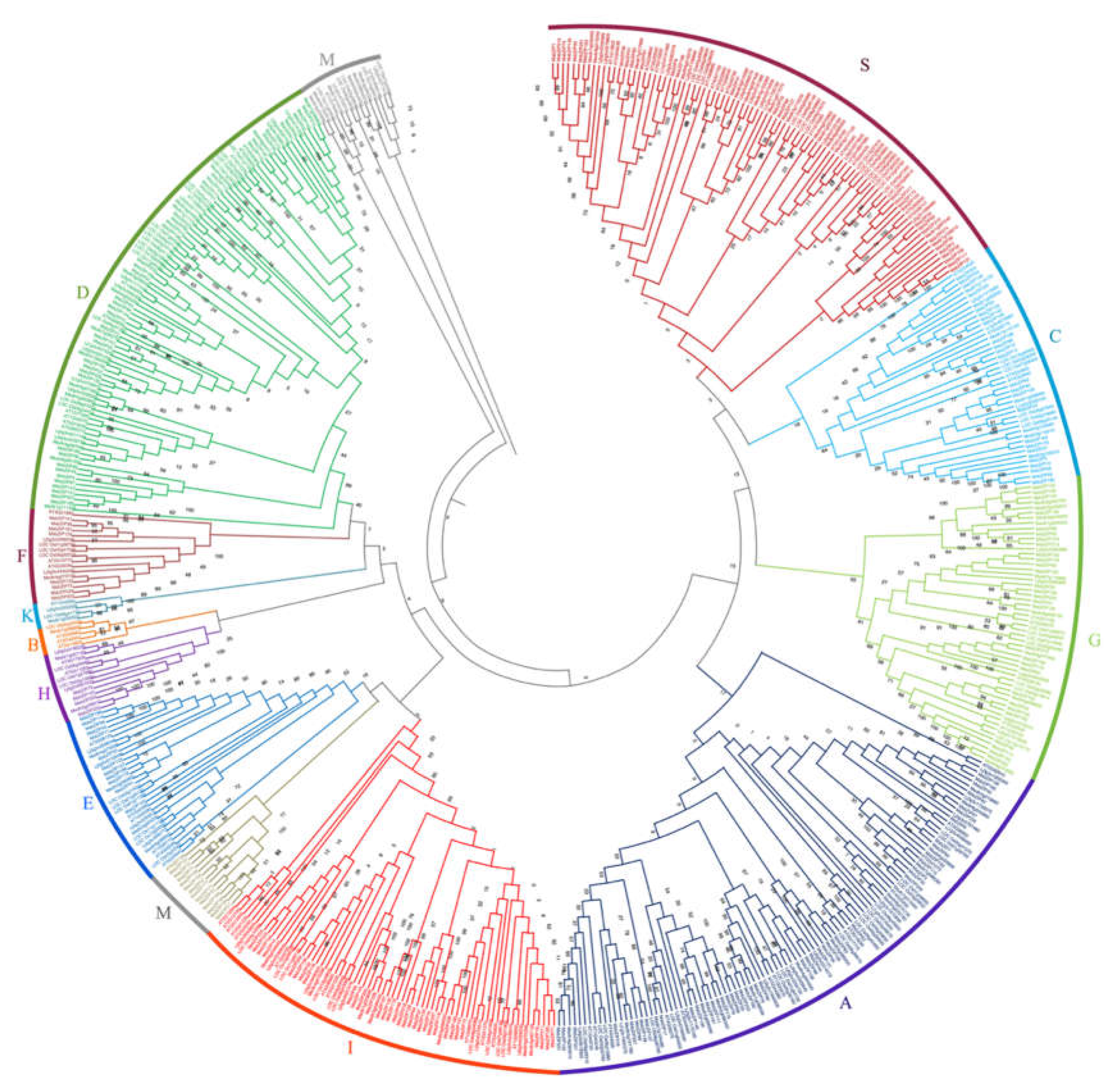 Preprints 70178 g001