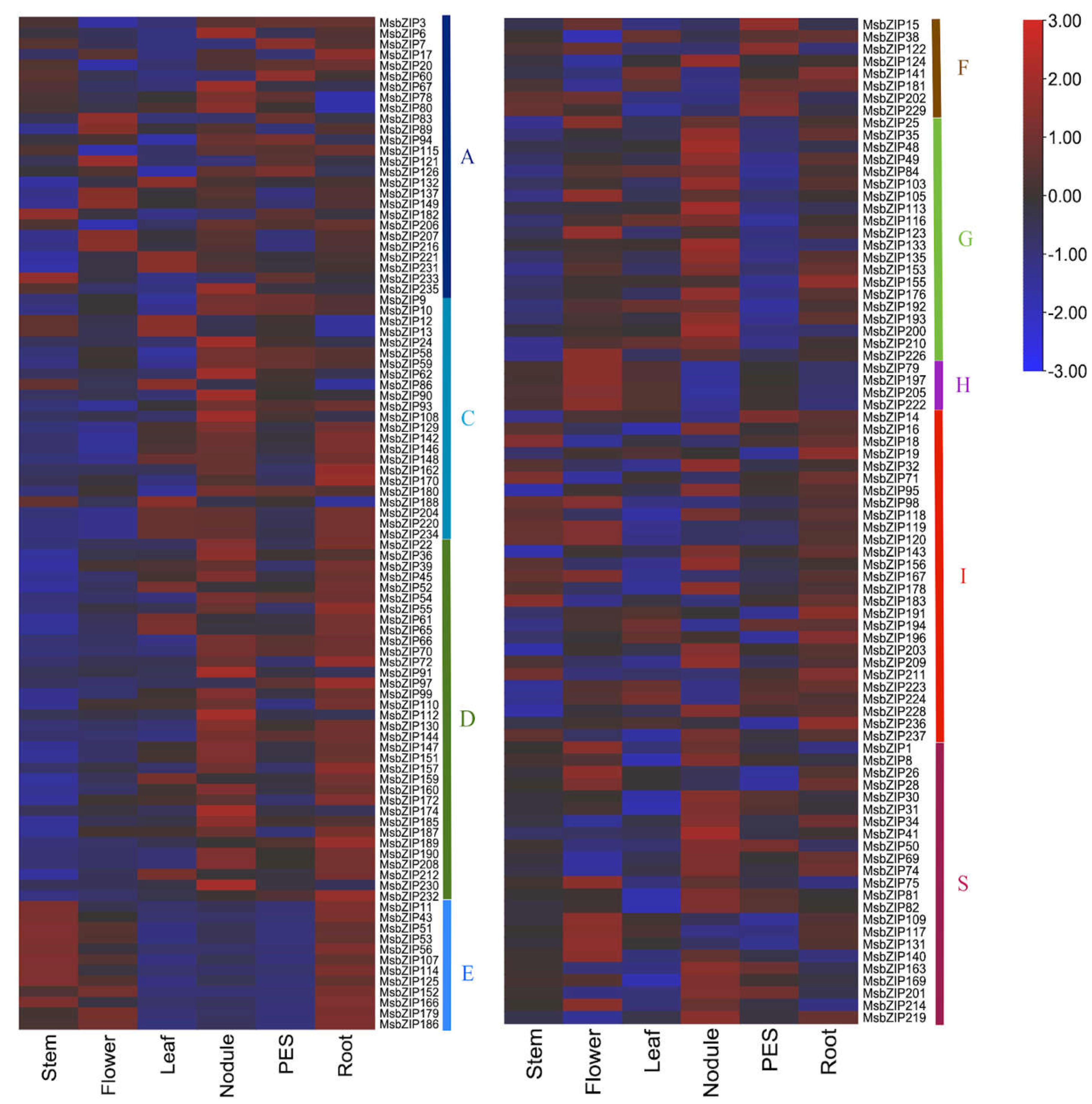 Preprints 70178 g005