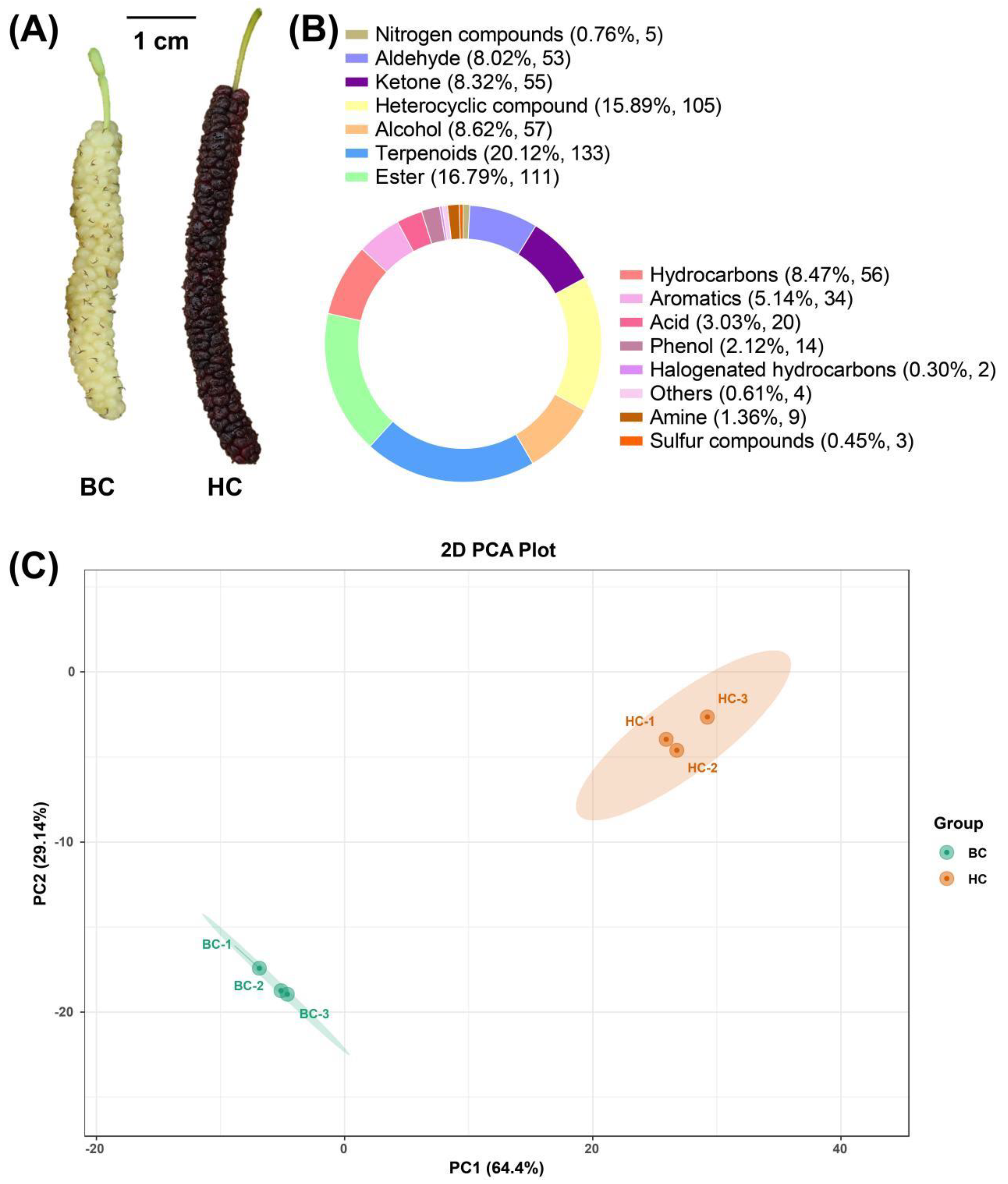 Preprints 115363 g001