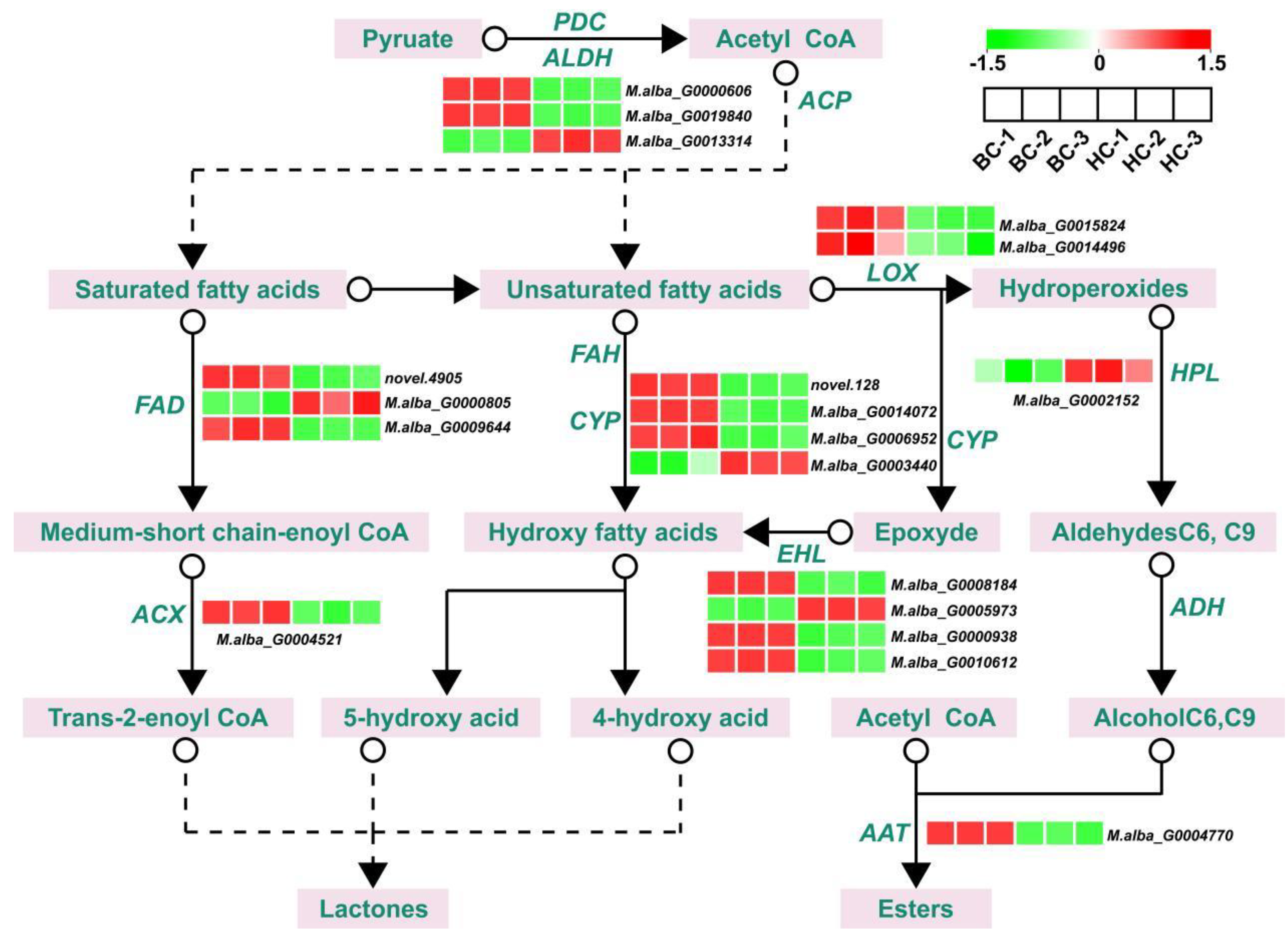 Preprints 115363 g006