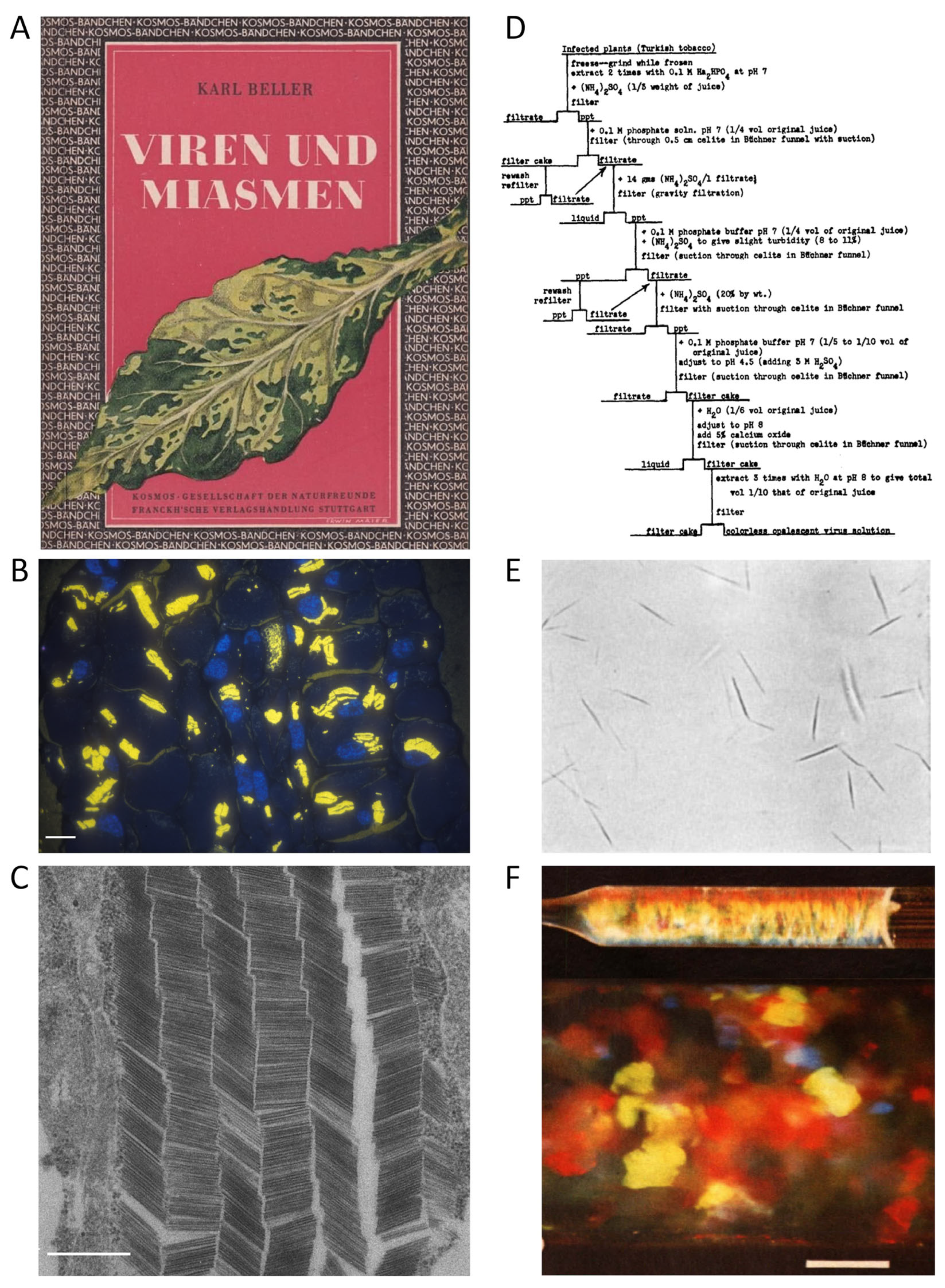 Preprints 102760 g001